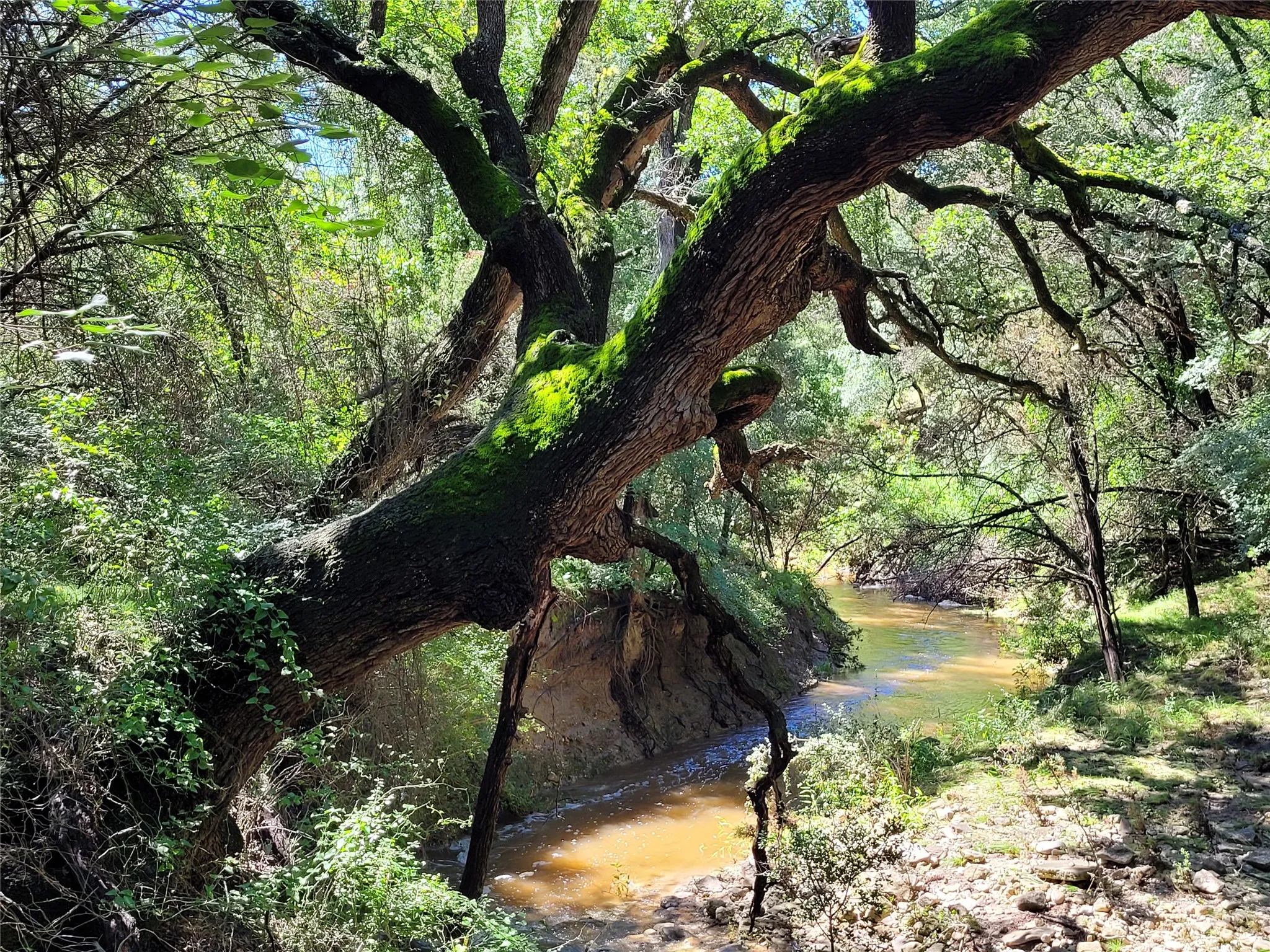 Ranch For Sale in Lampasas County , TBD County Road 1139 575 Acres, Lampasas, Texas 76550, 0, 0, Garage spaces, 0 Sqft, built in 0, mls#21314088, Real Estate Agent in Lampasas, Homes For Sale in Lampasas county, Homes For Sale in Lampasas, Realtor in Lampasas Texas, Real Estate Brokerage Independent Realty Texas, Luminita Cordes Realtor