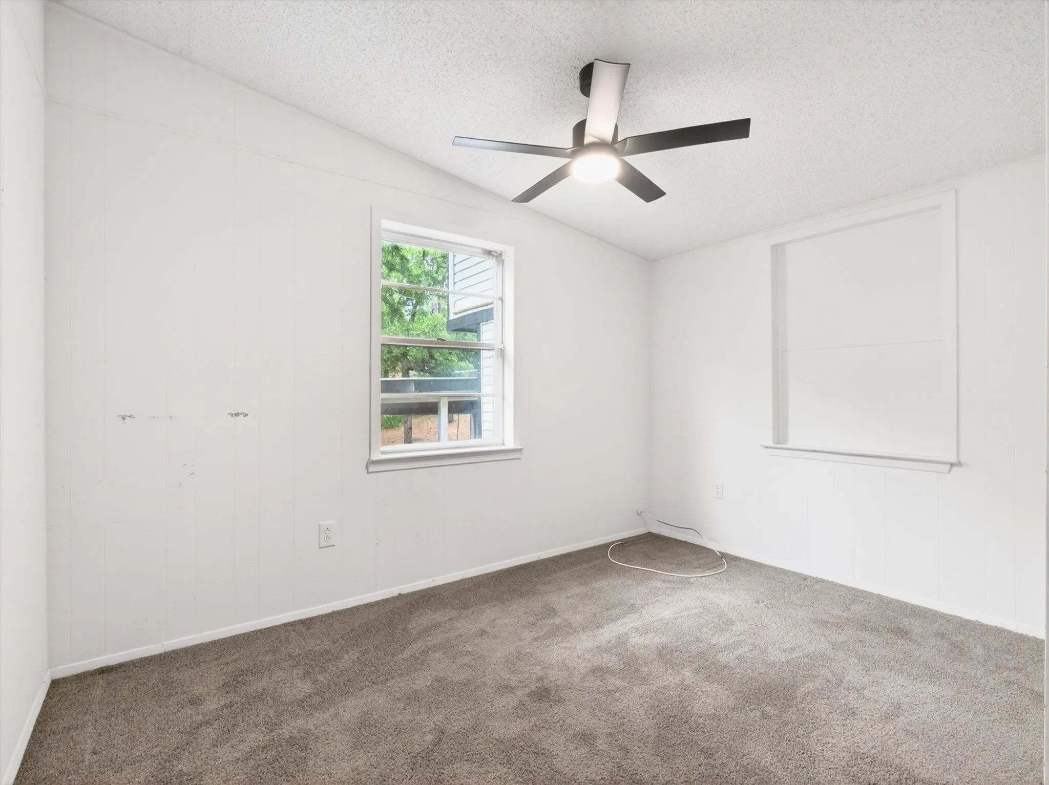 Carpeted room featuring a ceiling fan with integrated lighting, a double-hung window, and white walls