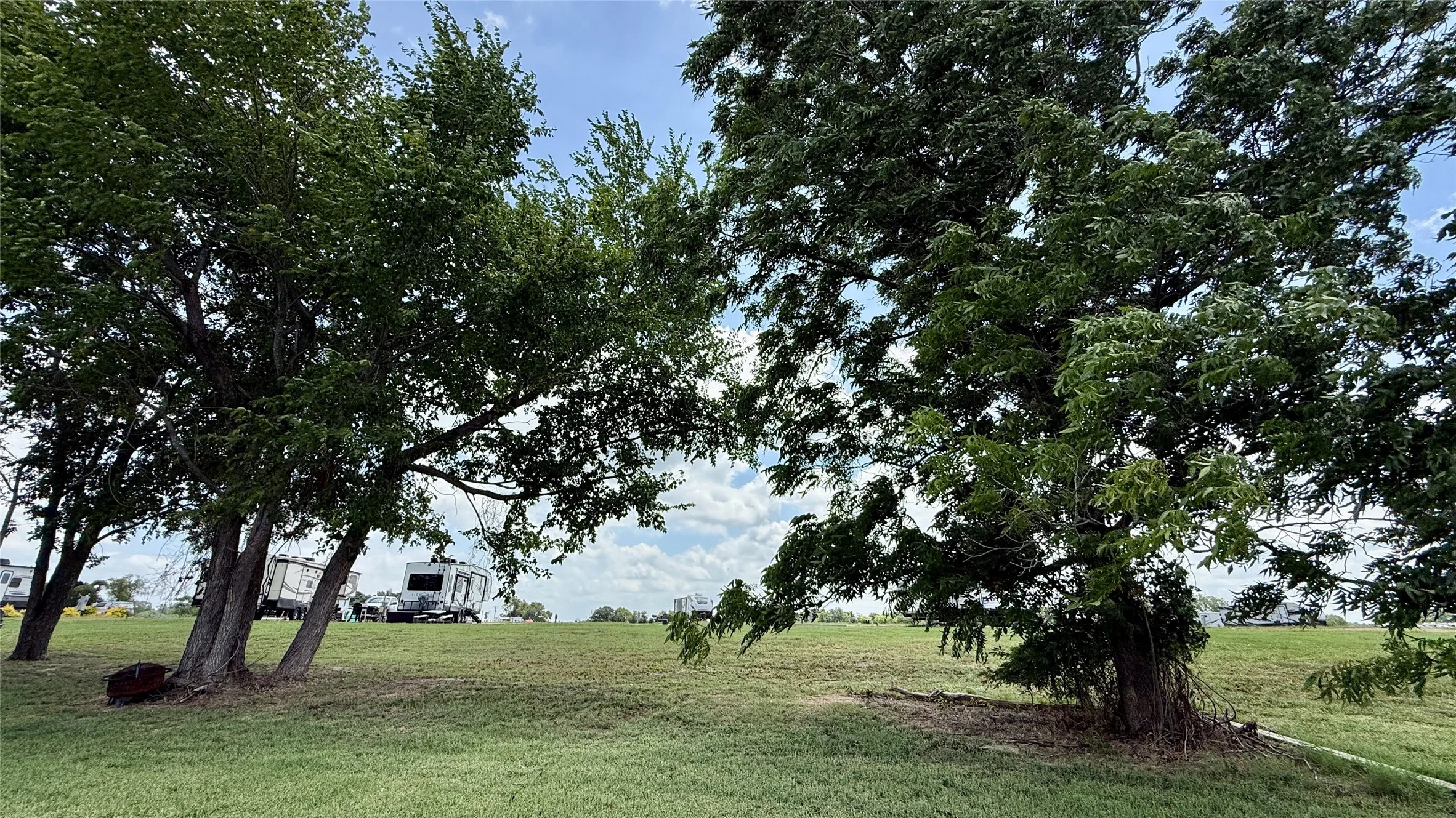 Tree-covered lakefront area perfect for a hammock.