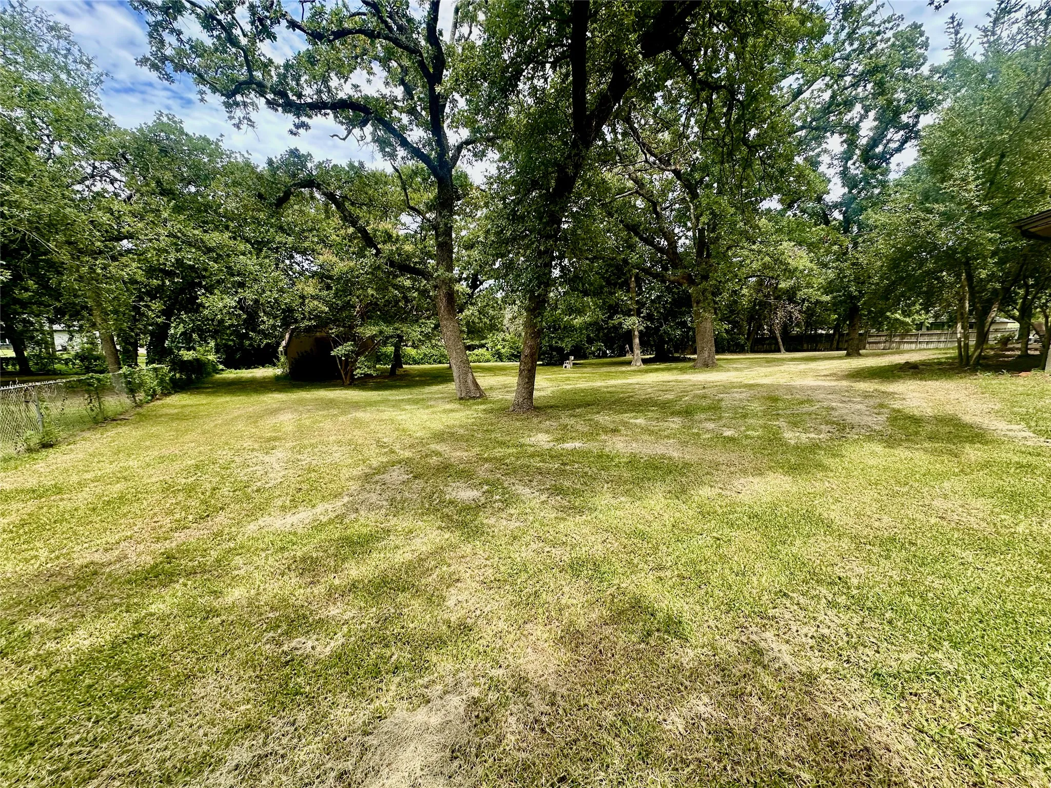 Backyard