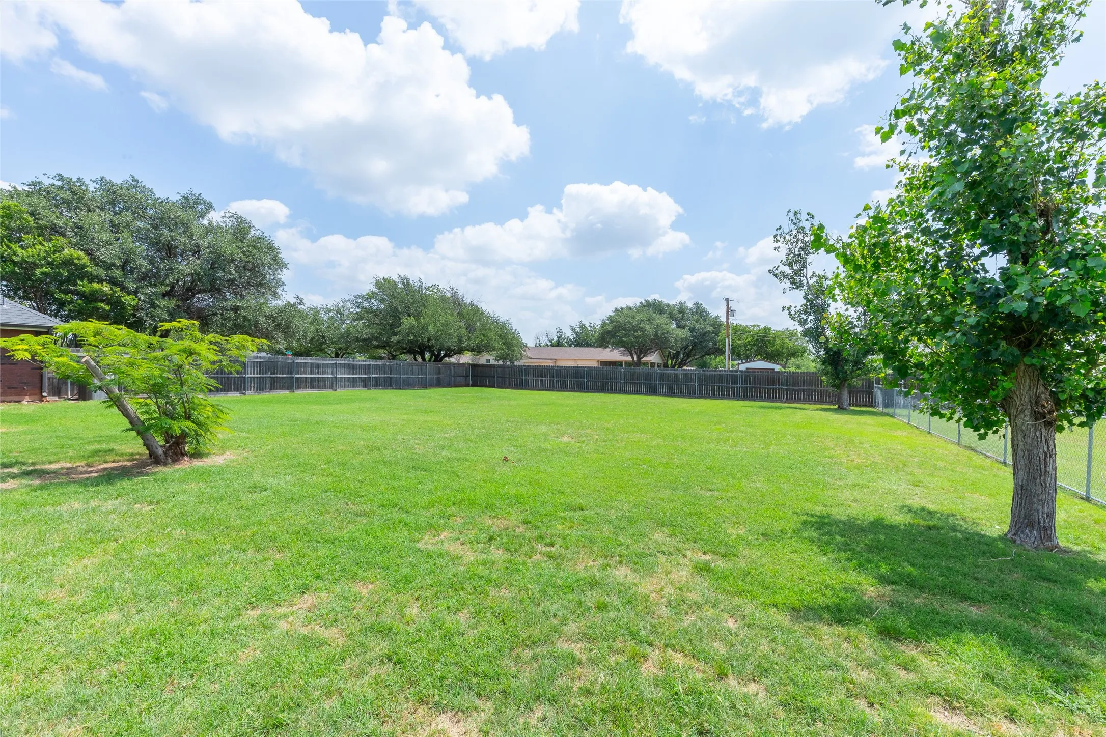 Main back yard looking towards Randy Dr.