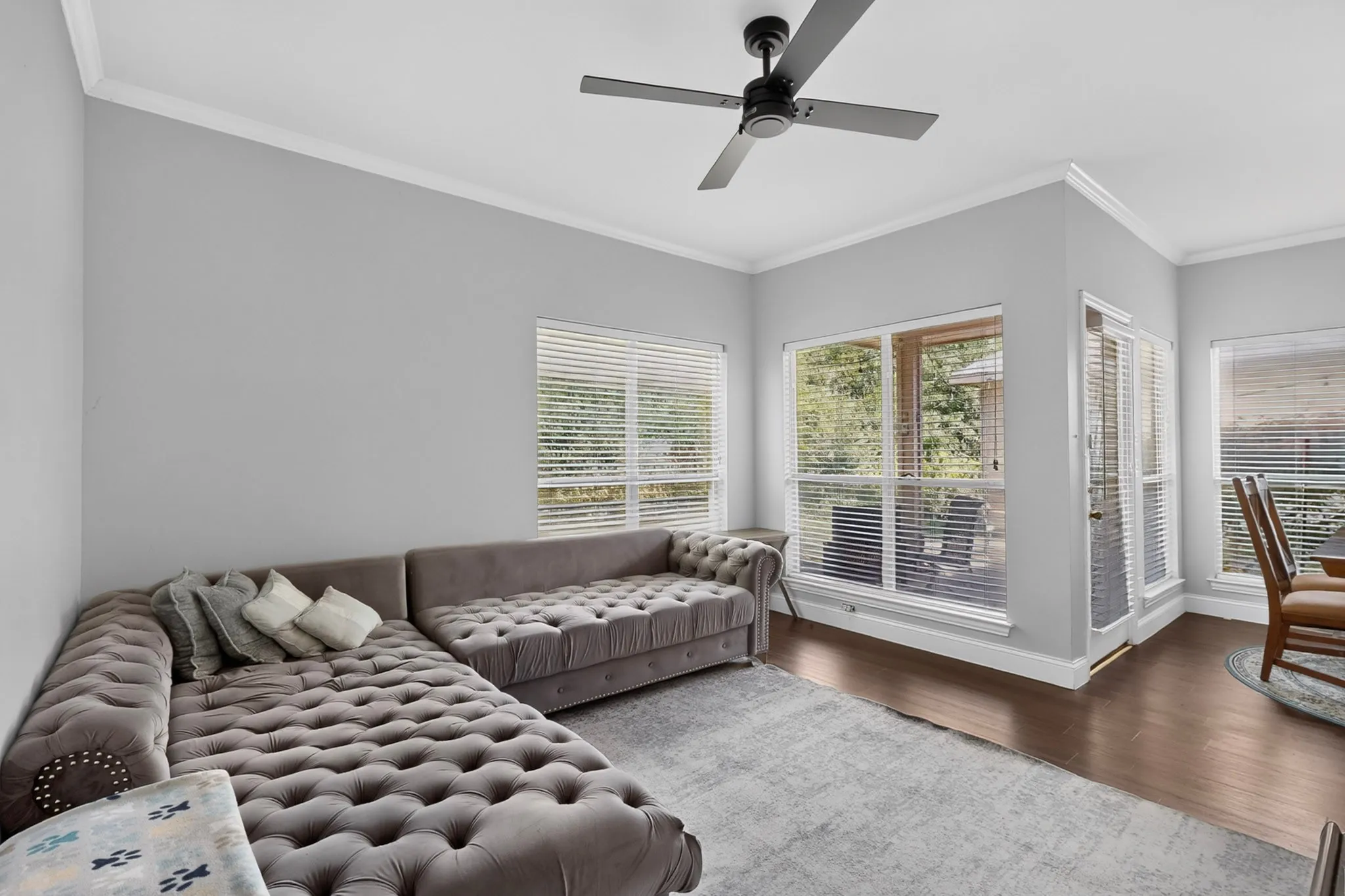 Spacious living area featuring light gray walls, white crown molding, wood-finish flooring, a contemporary ceiling fan, and multiple windows with blinds