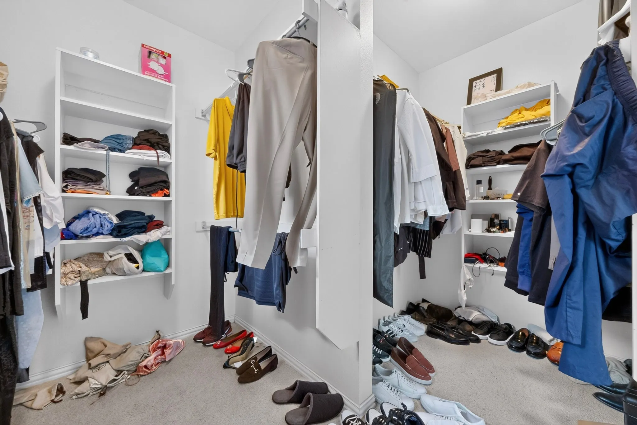 Primary Bedroom Walk-in closet featuring built-in shelving, wall-mounted clothing rods, and carpet flooring