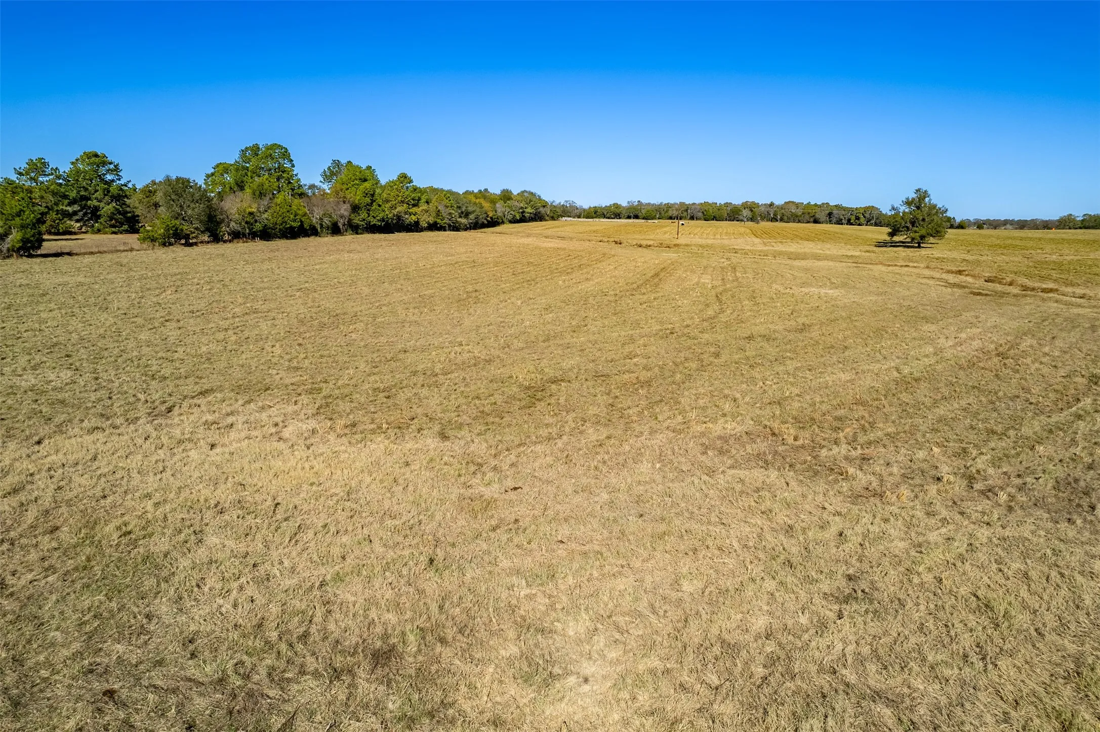 Unimproved Land For Sale in Van Zandt County , 000 FM 1504, Wills Point, Texas 75169, 0, 0, Garage spaces, 0 Sqft, built in 0, mls#21314307, Real Estate Agent in Wills Point, Homes For Sale in Van Zandt county, Homes For Sale in Wills Point, Realtor in Wills Point Texas, Real Estate Brokerage Independent Realty Texas, Luminita Cordes Realtor