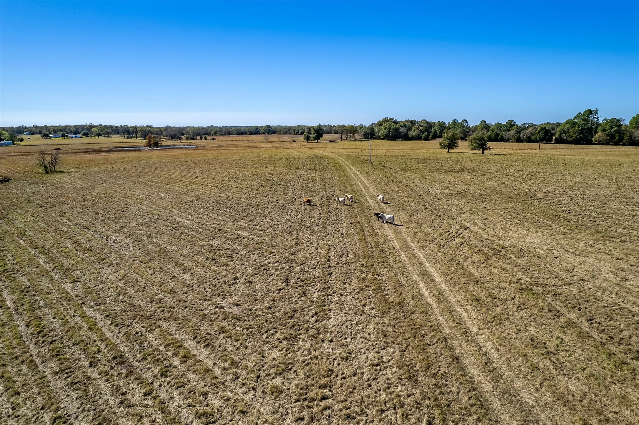 Unimproved Land For Sale in Van Zandt County , 000 FM 1504, Wills Point, Texas 75169, 0, 0, Garage spaces, 0 Sqft, built in 0, mls#21314307, Real Estate Agent in Wills Point, Homes For Sale in Van Zandt county, Homes For Sale in Wills Point, Realtor in Wills Point Texas, Real Estate Brokerage Independent Realty Texas, Luminita Cordes Realtor