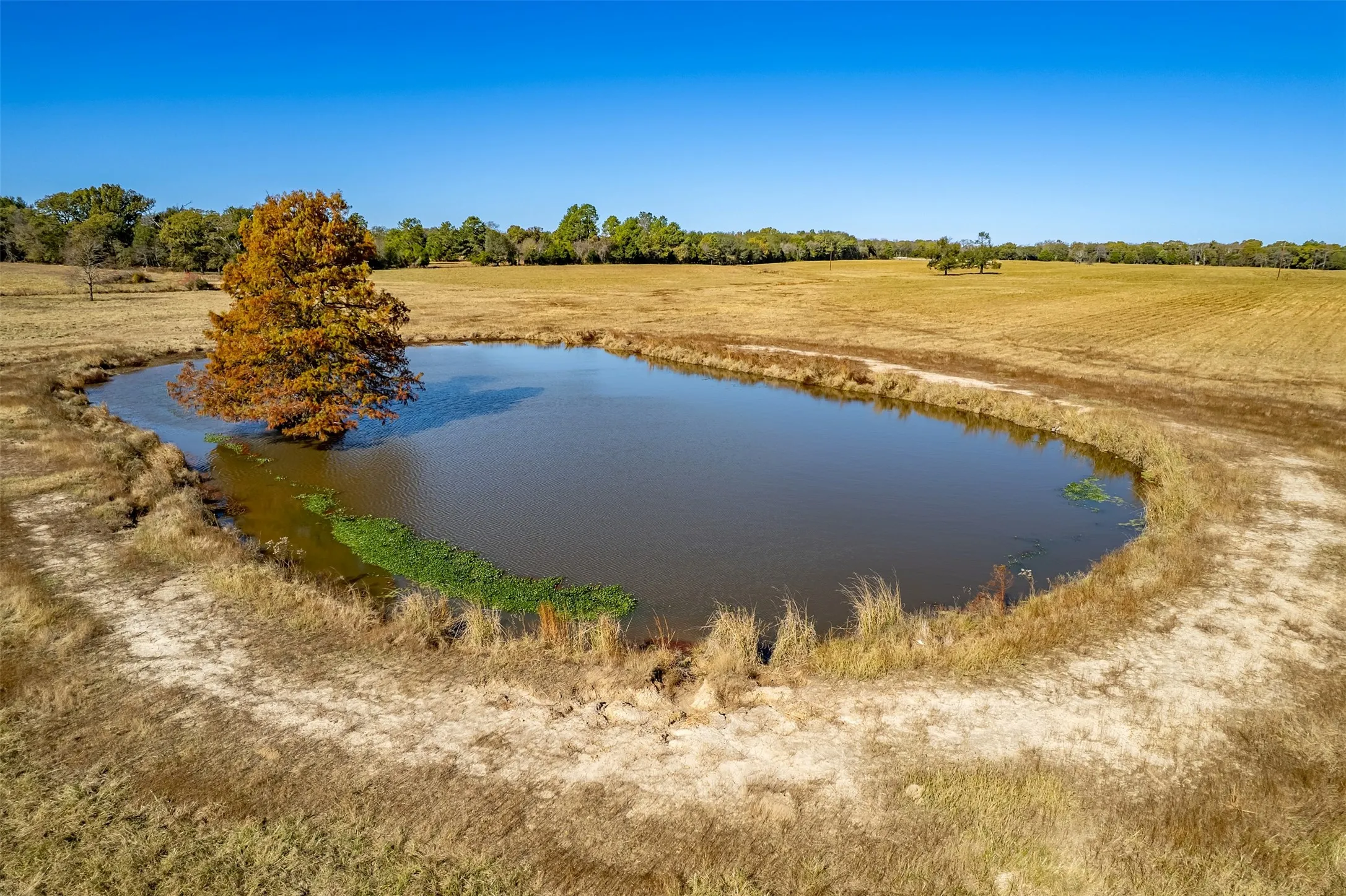 Unimproved Land For Sale in Van Zandt County , 000 FM 1504, Wills Point, Texas 75169, 0, 0, Garage spaces, 0 Sqft, built in 0, mls#21314307, Real Estate Agent in Wills Point, Homes For Sale in Van Zandt county, Homes For Sale in Wills Point, Realtor in Wills Point Texas, Real Estate Brokerage Independent Realty Texas, Luminita Cordes Realtor