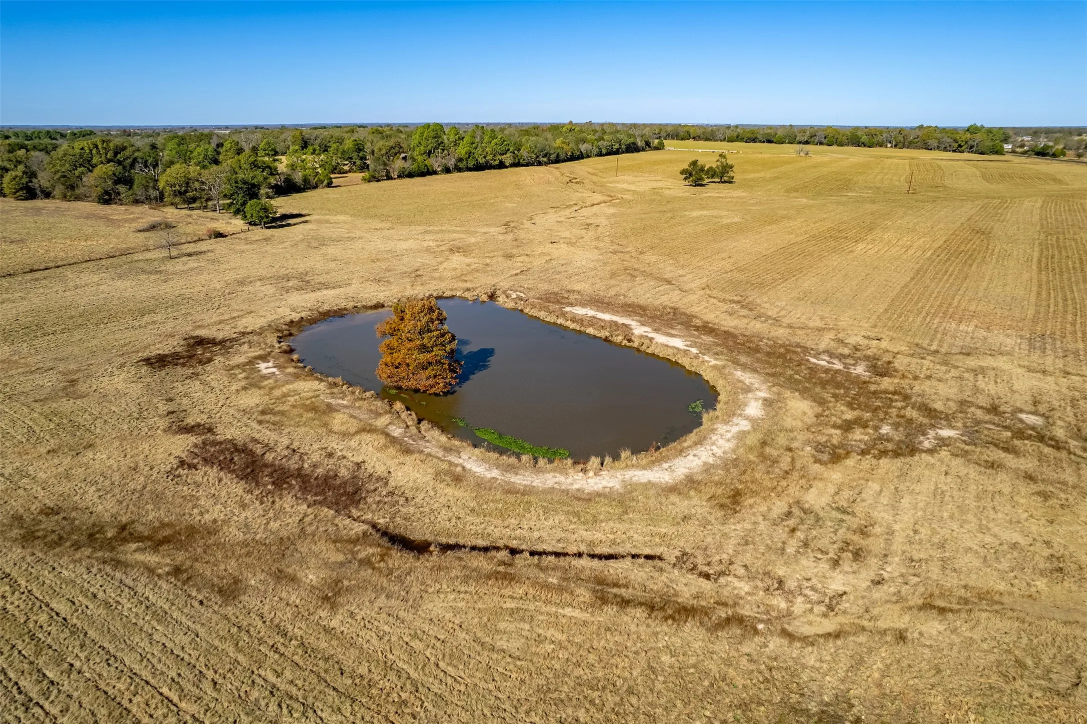 Unimproved Land For Sale in Van Zandt County , 000 FM 1504, Wills Point, Texas 75169, 0, 0, Garage spaces, 0 Sqft, built in 0, mls#21314307, Real Estate Agent in Wills Point, Homes For Sale in Van Zandt county, Homes For Sale in Wills Point, Realtor in Wills Point Texas, Real Estate Brokerage Independent Realty Texas, Luminita Cordes Realtor