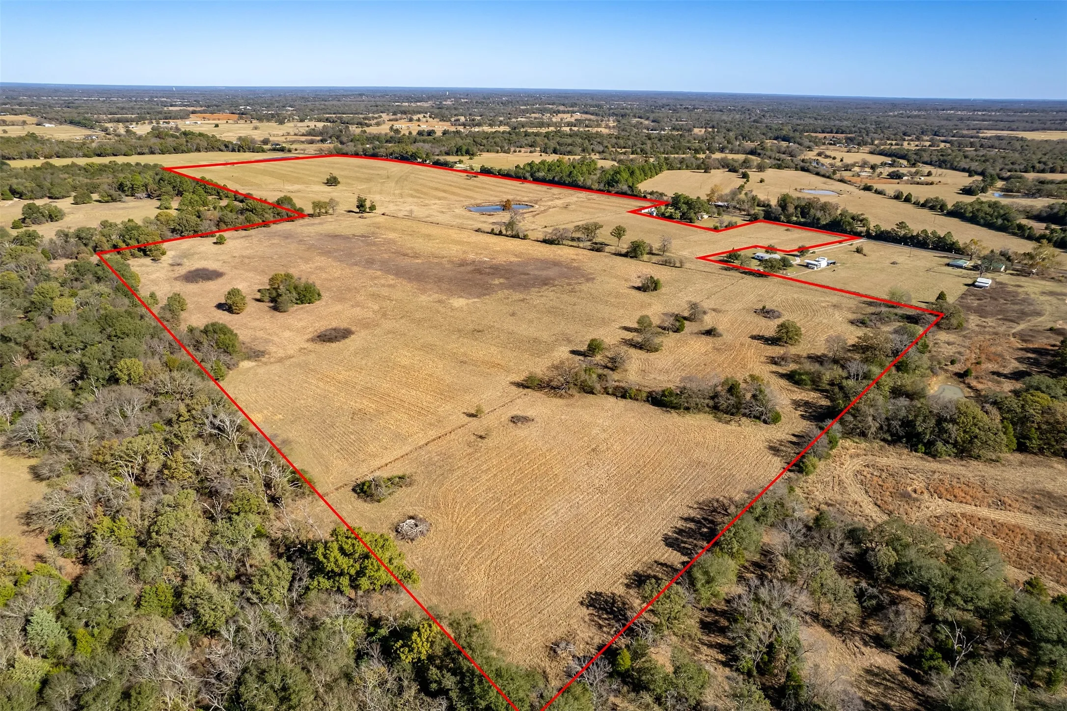 Unimproved Land For Sale in Van Zandt County , 000 FM 1504, Wills Point, Texas 75169, 0, 0, Garage spaces, 0 Sqft, built in 0, mls#21314307, Real Estate Agent in Wills Point, Homes For Sale in Van Zandt county, Homes For Sale in Wills Point, Realtor in Wills Point Texas, Real Estate Brokerage Independent Realty Texas, Luminita Cordes Realtor