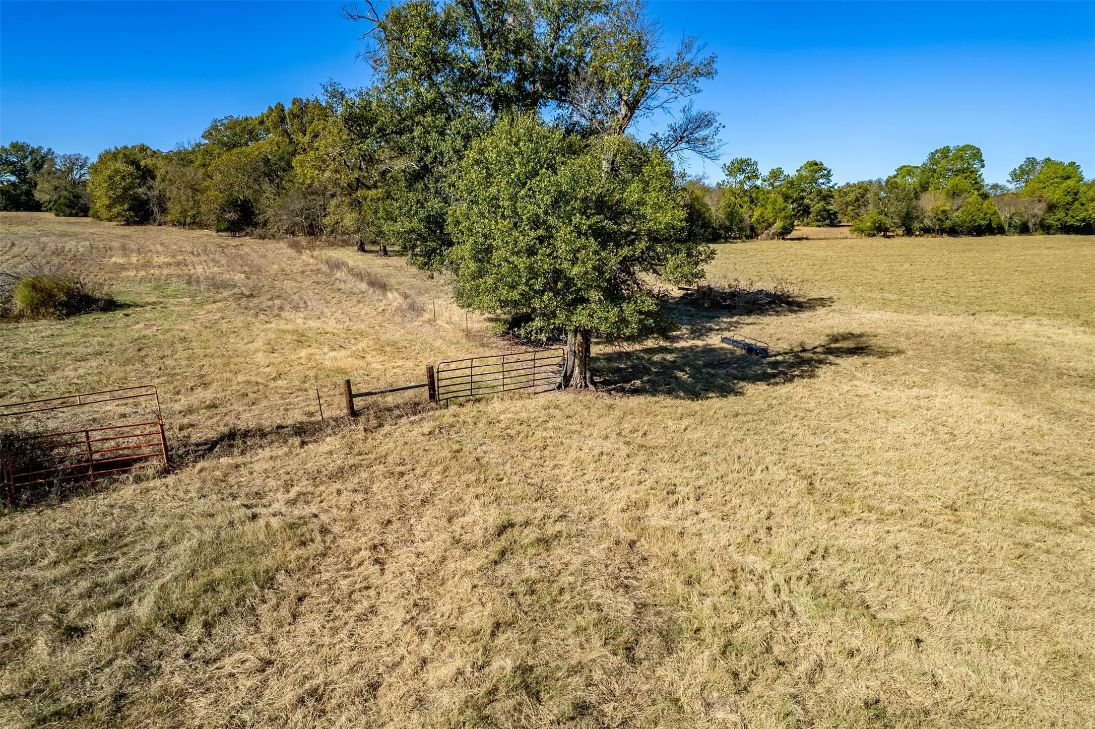 Unimproved Land For Sale in Van Zandt County , 000 FM 1504, Wills Point, Texas 75169, 0, 0, Garage spaces, 0 Sqft, built in 0, mls#21314307, Real Estate Agent in Wills Point, Homes For Sale in Van Zandt county, Homes For Sale in Wills Point, Realtor in Wills Point Texas, Real Estate Brokerage Independent Realty Texas, Luminita Cordes Realtor