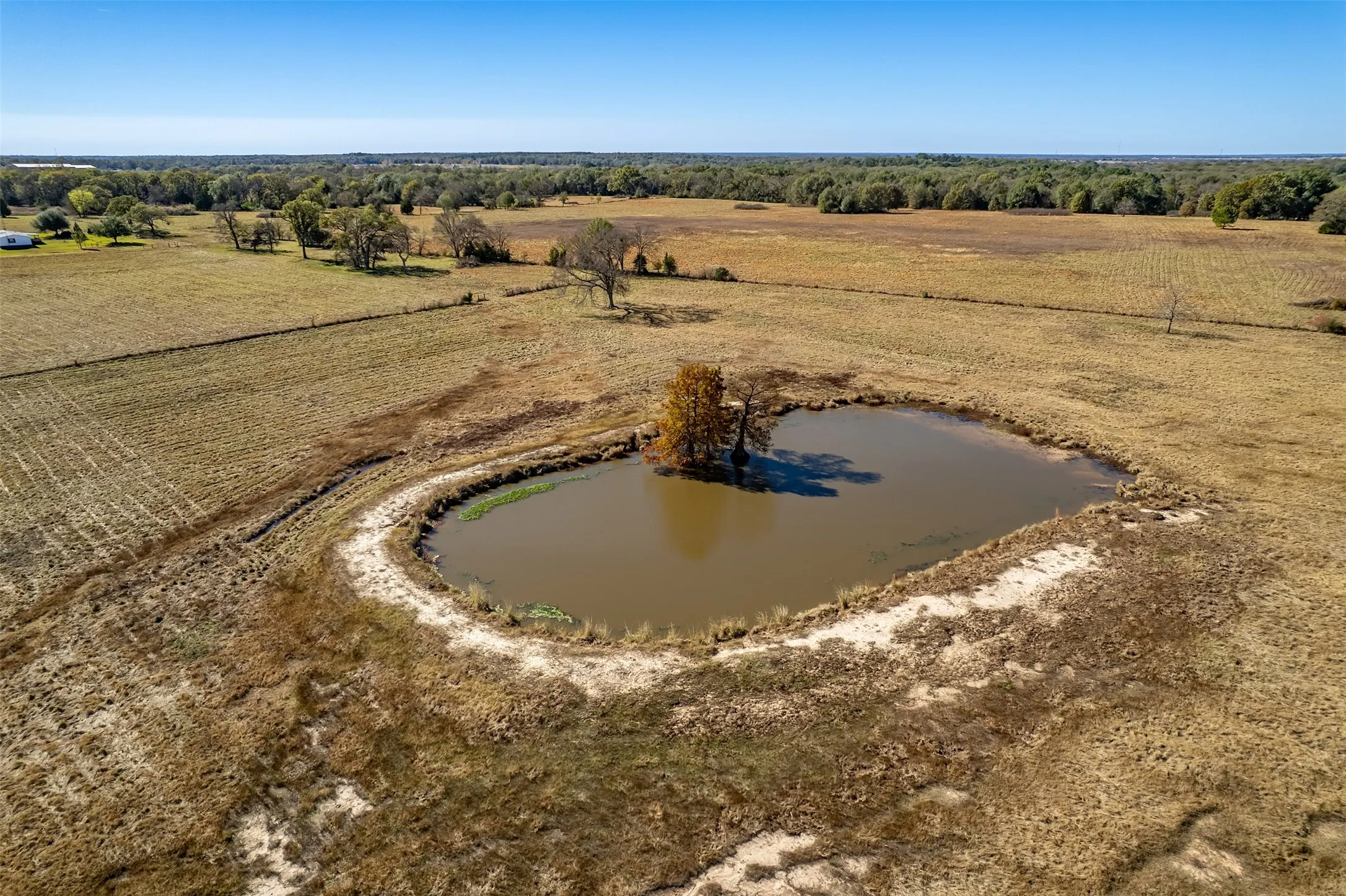 Unimproved Land For Sale in Van Zandt County , 000 FM 1504, Wills Point, Texas 75169, 0, 0, Garage spaces, 0 Sqft, built in 0, mls#21314307, Real Estate Agent in Wills Point, Homes For Sale in Van Zandt county, Homes For Sale in Wills Point, Realtor in Wills Point Texas, Real Estate Brokerage Independent Realty Texas, Luminita Cordes Realtor