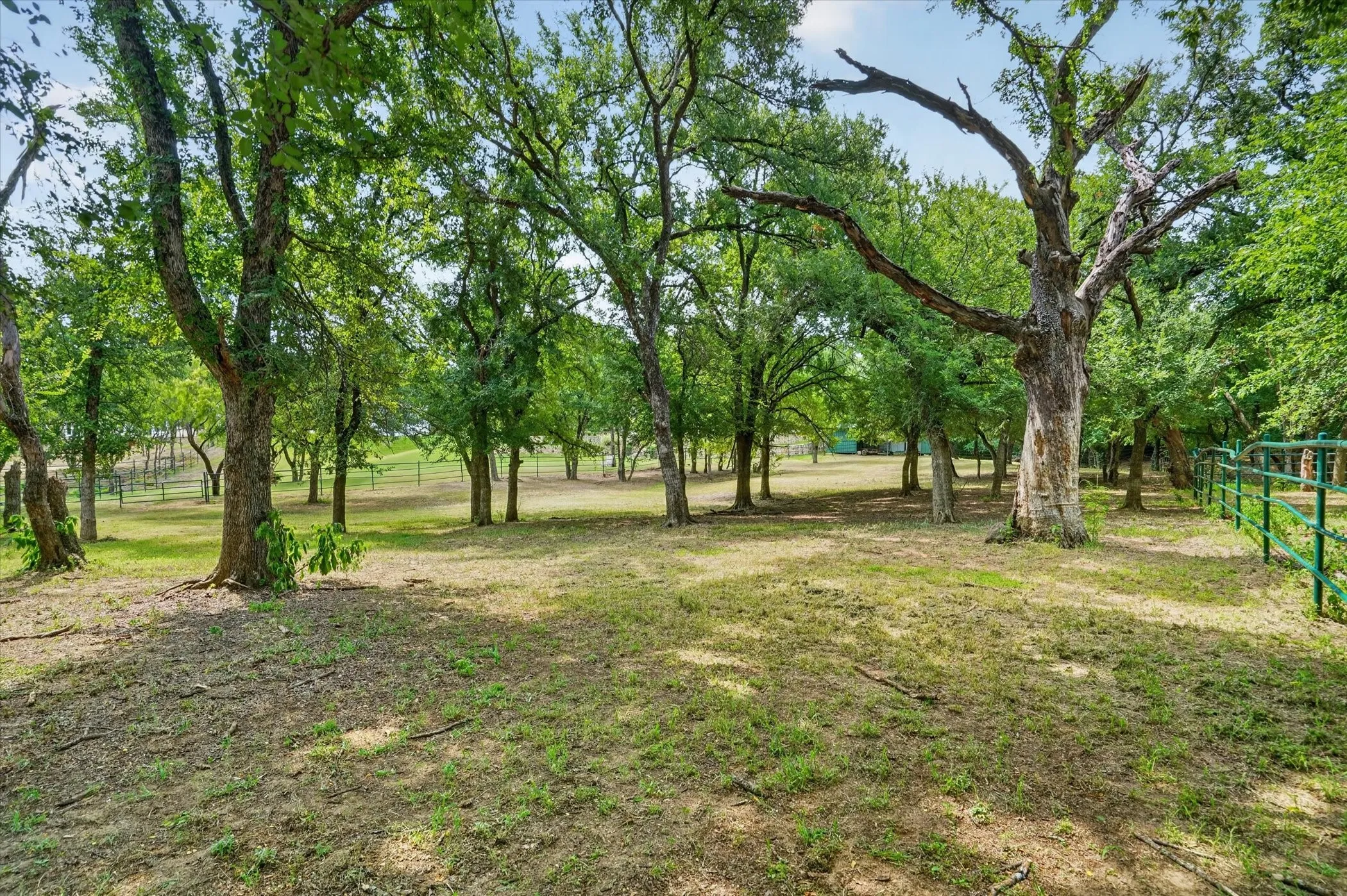 Expansive outdoor space featuring numerous mature trees and a partial green perimeter fence