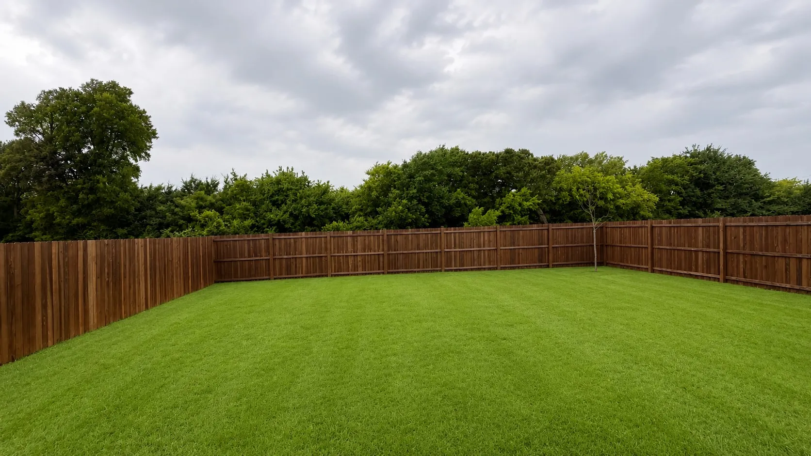 Generous green lawn surrounded by a privacy fence, backed by mature trees