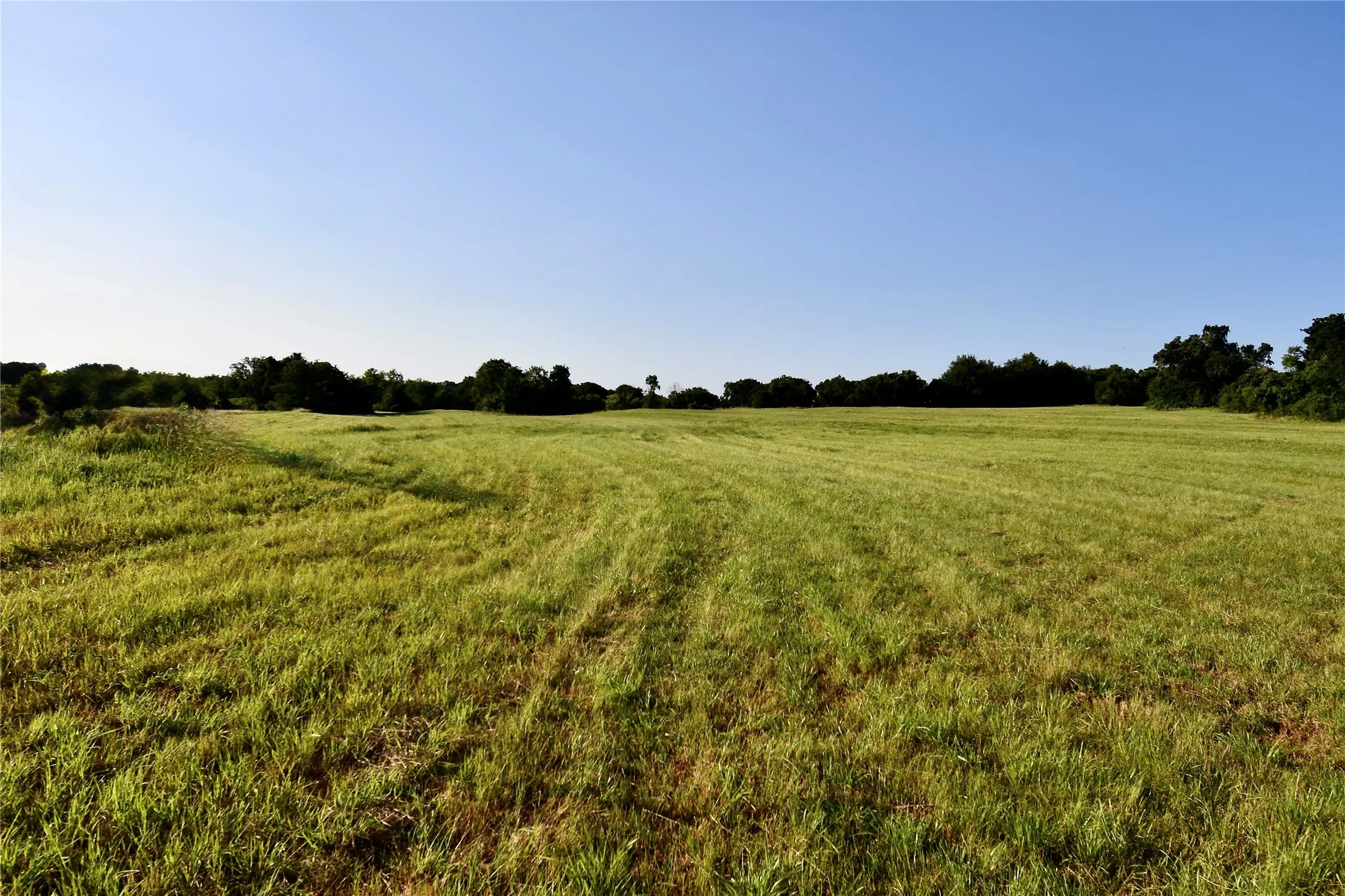 Unimproved Land For Sale in Parker County , TBD Zion Hill Road, Weatherford, Texas 76088, 0, 0, Garage spaces, 0 Sqft, built in 0, mls#21314347, Real Estate Agent in Weatherford, Homes For Sale in Parker county, Homes For Sale in Weatherford, Realtor in Weatherford Texas, Real Estate Brokerage Independent Realty Texas, Luminita Cordes Realtor
