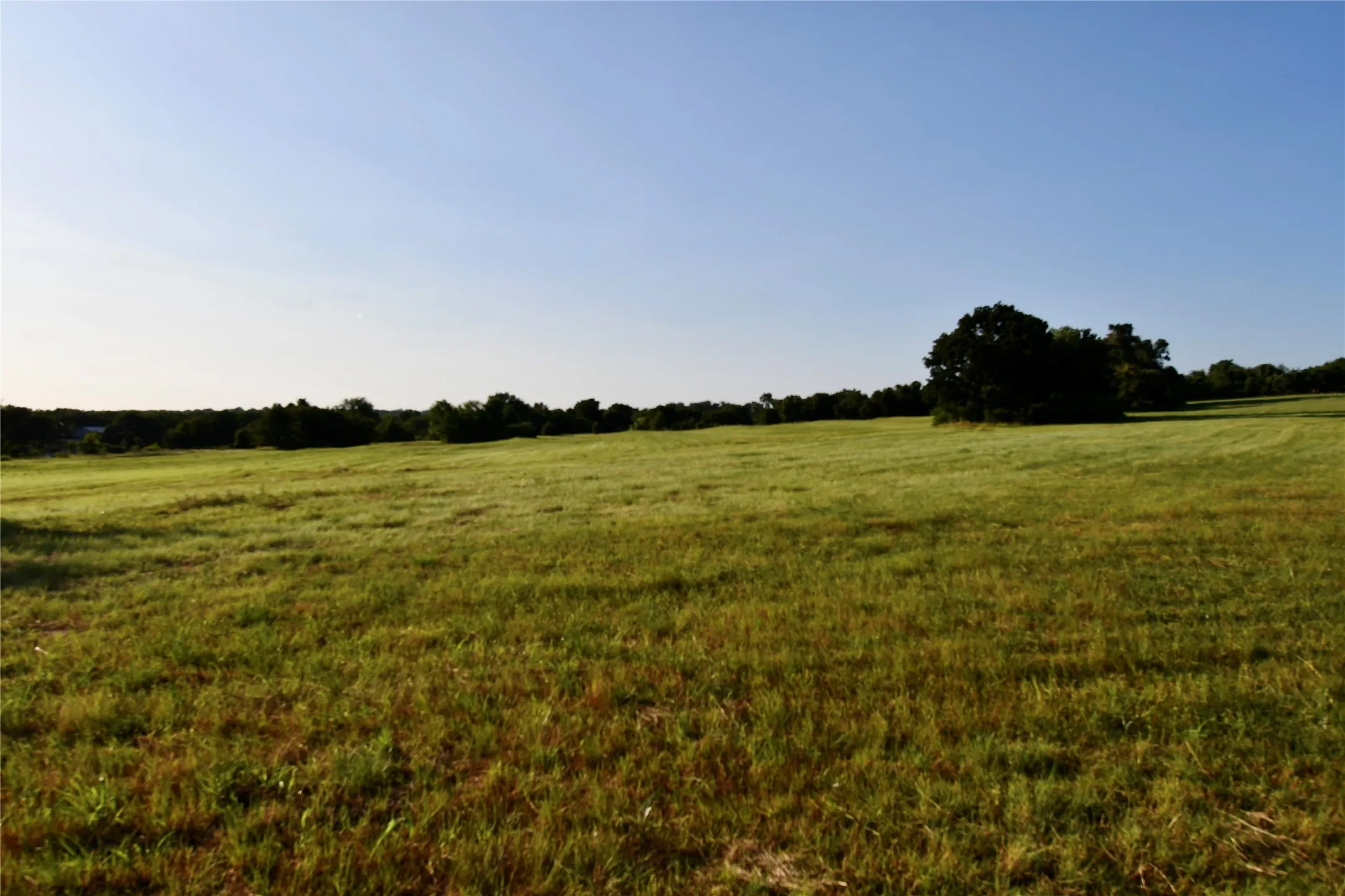 Unimproved Land For Sale in Parker County , TBD Zion Hill Road, Weatherford, Texas 76088, 0, 0, Garage spaces, 0 Sqft, built in 0, mls#21314347, Real Estate Agent in Weatherford, Homes For Sale in Parker county, Homes For Sale in Weatherford, Realtor in Weatherford Texas, Real Estate Brokerage Independent Realty Texas, Luminita Cordes Realtor
