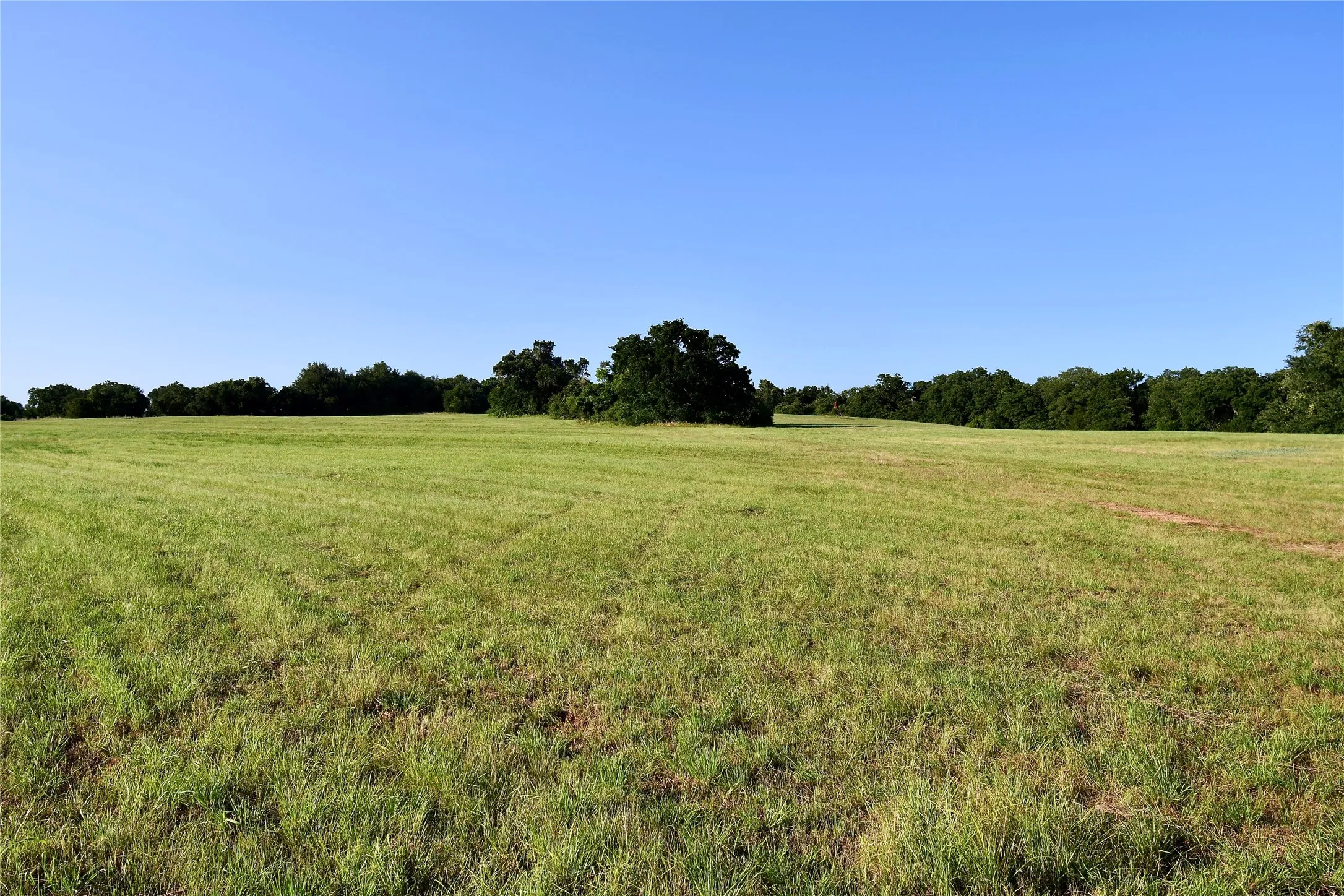 Unimproved Land For Sale in Parker County , TBD Zion Hill Road, Weatherford, Texas 76088, 0, 0, Garage spaces, 0 Sqft, built in 0, mls#21314347, Real Estate Agent in Weatherford, Homes For Sale in Parker county, Homes For Sale in Weatherford, Realtor in Weatherford Texas, Real Estate Brokerage Independent Realty Texas, Luminita Cordes Realtor