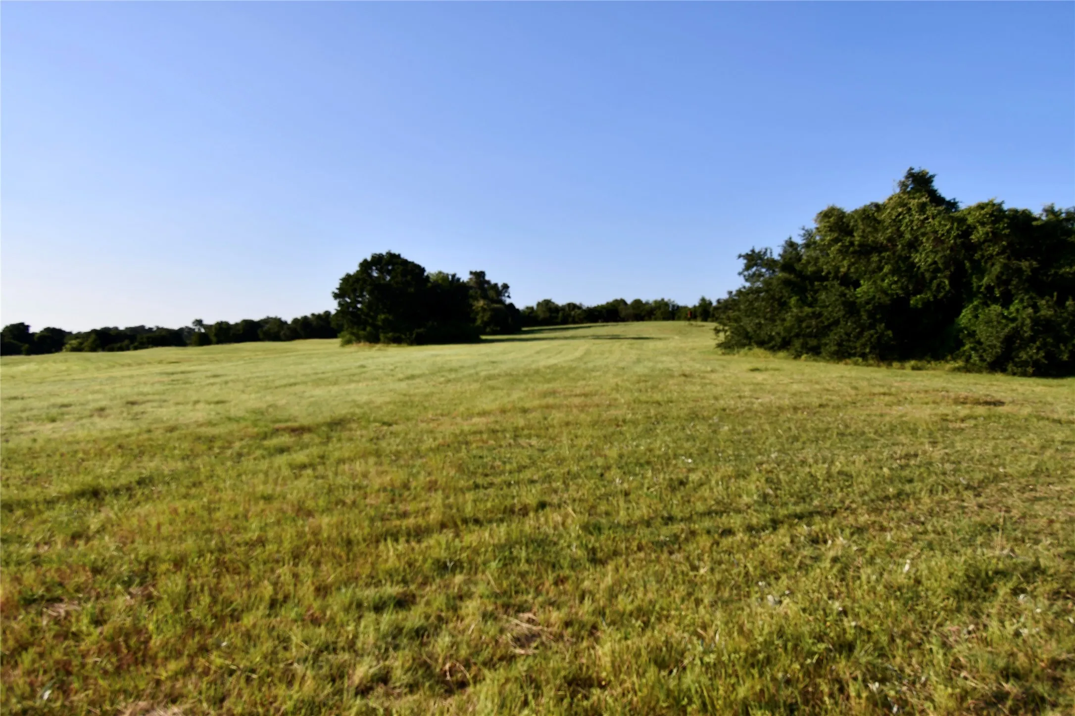 Unimproved Land For Sale in Parker County , TBD Zion Hill Road, Weatherford, Texas 76088, 0, 0, Garage spaces, 0 Sqft, built in 0, mls#21314347, Real Estate Agent in Weatherford, Homes For Sale in Parker county, Homes For Sale in Weatherford, Realtor in Weatherford Texas, Real Estate Brokerage Independent Realty Texas, Luminita Cordes Realtor