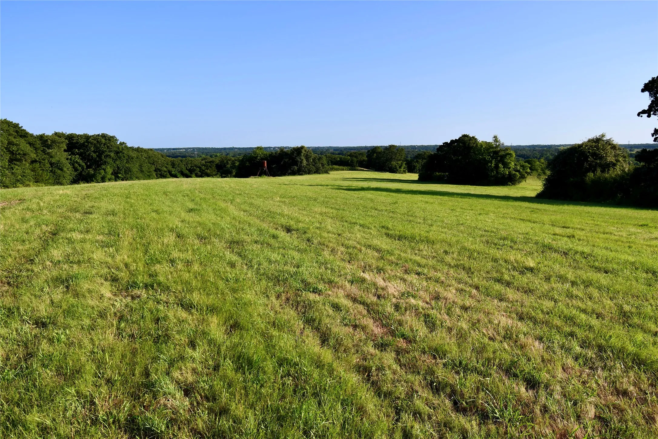 Unimproved Land For Sale in Parker County , TBD Zion Hill Road, Weatherford, Texas 76088, 0, 0, Garage spaces, 0 Sqft, built in 0, mls#21314347, Real Estate Agent in Weatherford, Homes For Sale in Parker county, Homes For Sale in Weatherford, Realtor in Weatherford Texas, Real Estate Brokerage Independent Realty Texas, Luminita Cordes Realtor