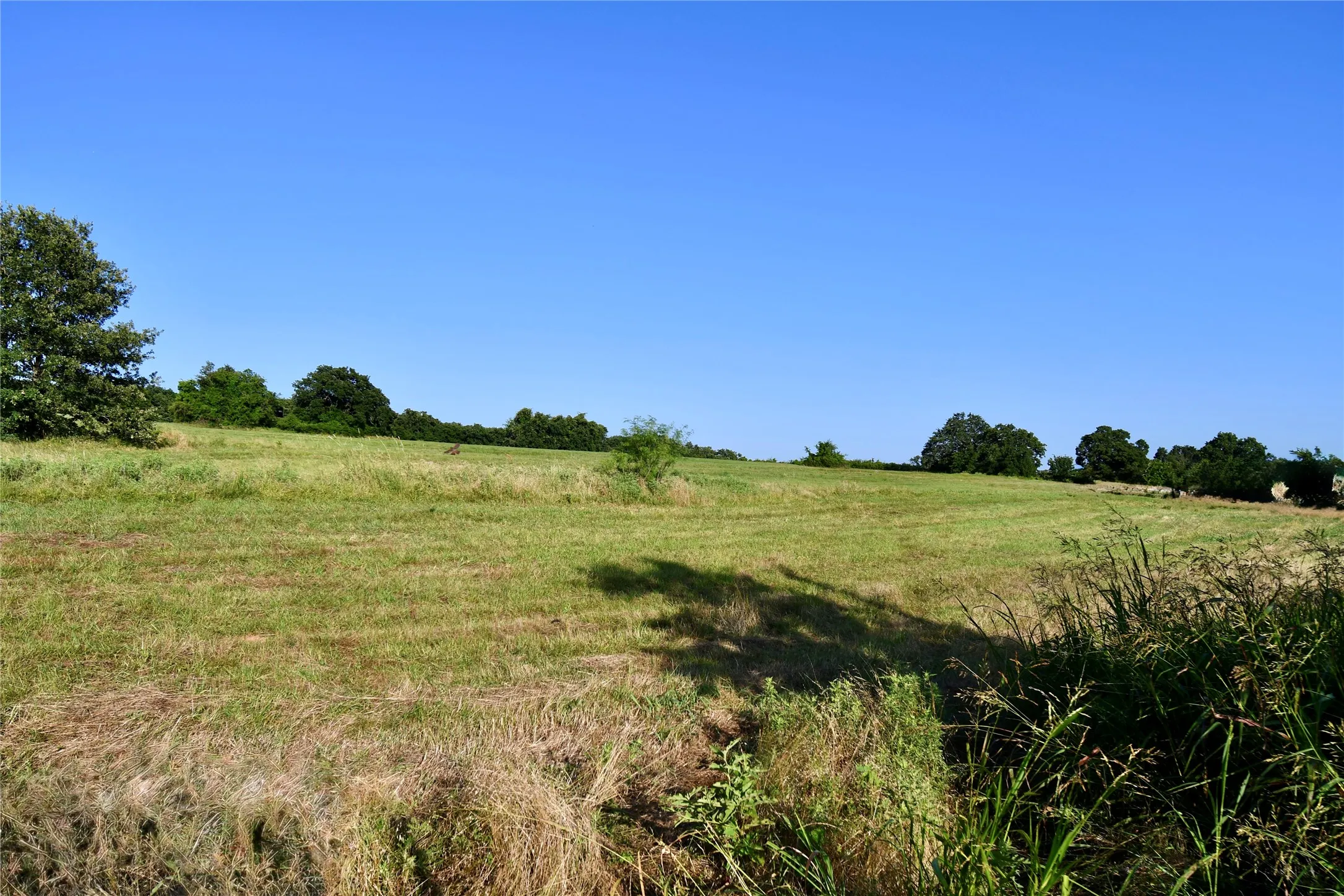 Unimproved Land For Sale in Parker County , TBD Zion Hill Road, Weatherford, Texas 76088, 0, 0, Garage spaces, 0 Sqft, built in 0, mls#21314347, Real Estate Agent in Weatherford, Homes For Sale in Parker county, Homes For Sale in Weatherford, Realtor in Weatherford Texas, Real Estate Brokerage Independent Realty Texas, Luminita Cordes Realtor