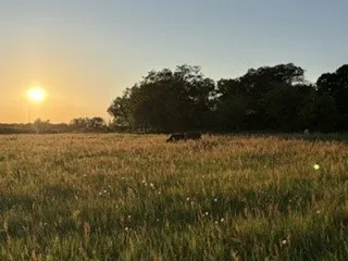 Farm For Sale in Comanche County , 695 County Road 416 Road, Comanche, Texas 76442, 1 Bedroom, 1 Bathroom, Garage spaces, 630 Sqft, built in 2022, mls#21312411, Real Estate Agent in Comanche, Homes For Sale in Comanche county, Homes For Sale in Comanche, Realtor in Comanche Texas, Real Estate Brokerage Independent Realty Texas, Luminita Cordes Realtor