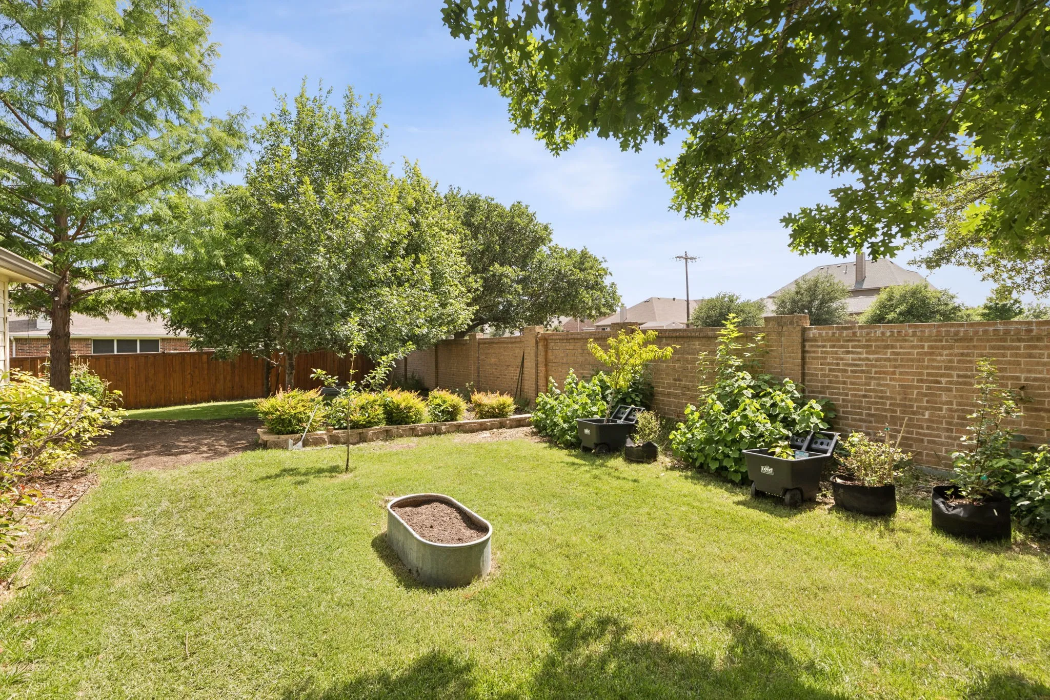 Even the side yard is abundant with life in this large backyard!