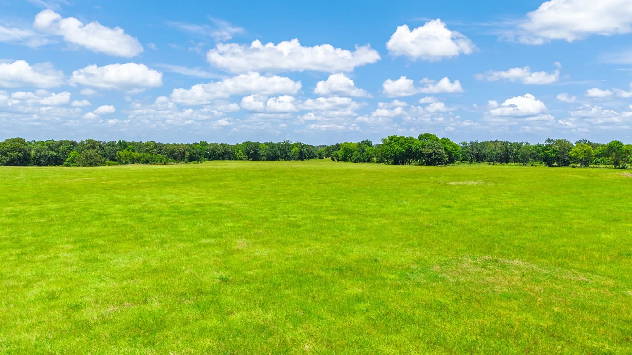 Farm For Sale in Wood County , 869 CR 1570, Alba, Texas 75410, 2 Bedroom, 2 Bathroom, Garage spaces, 1,668 Sqft, built in 2020, mls#21313611, Real Estate Agent in Alba, Homes For Sale in Wood county, Homes For Sale in Alba, Realtor in Alba Texas, Real Estate Brokerage Independent Realty Texas, Luminita Cordes Realtor