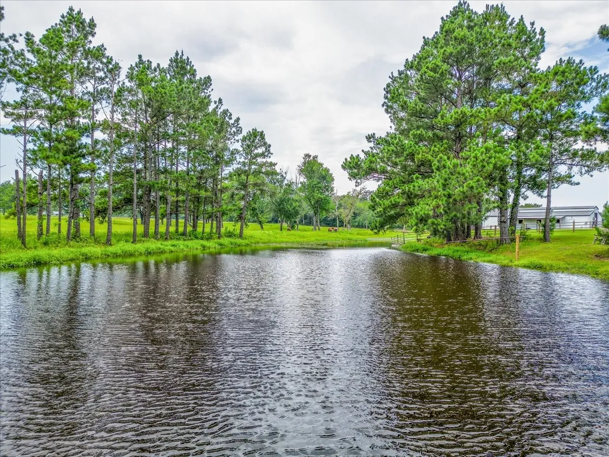 Farm For Sale in Hopkins County , 548 County Road 2301, Sulphur Springs, Texas 75482, 4 Bedroom, 5 Bathroom, 2 Garage spaces, 3,739 Sqft, built in 2012, mls#21311938, Real Estate Agent in Sulphur Springs, Homes For Sale in Hopkins county, Homes For Sale in Sulphur Springs, Realtor in Sulphur Springs Texas, Real Estate Brokerage Independent Realty Texas, Luminita Cordes Realtor