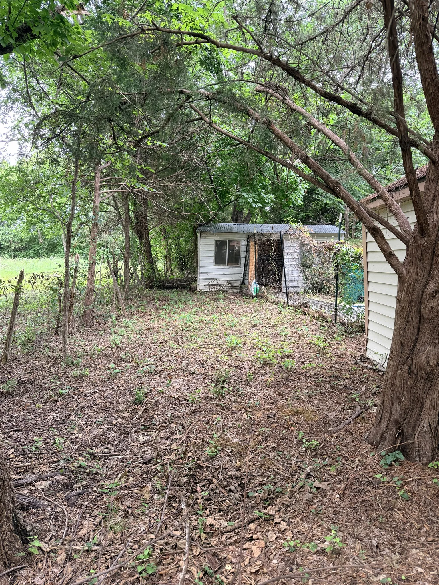 Side Yard