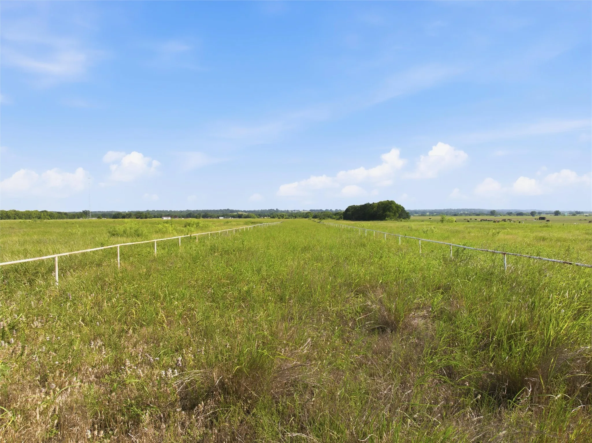 Unimproved Land For Sale in Falls County , 2519 Hwy 7 Highway, Chilton, Texas 76632, 0, 0, Garage spaces, 0 Sqft, built in 0, mls#21309965, Real Estate Agent in Chilton, Homes For Sale in Falls county, Homes For Sale in Chilton, Realtor in Chilton Texas, Real Estate Brokerage Independent Realty Texas, Luminita Cordes Realtor