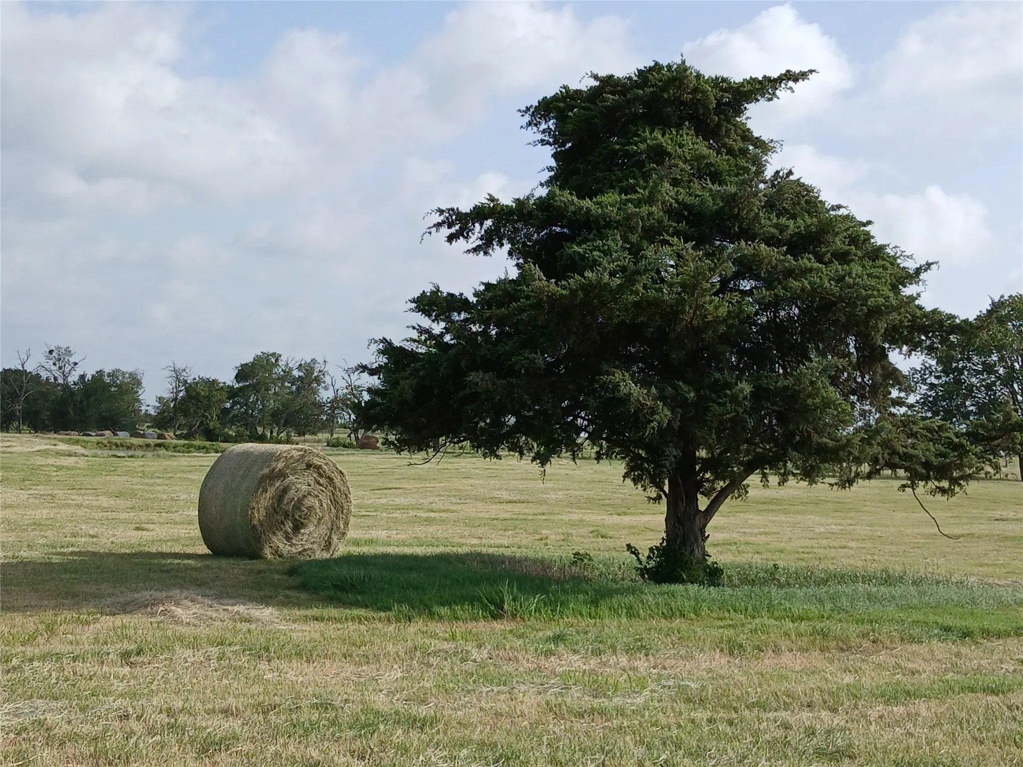 Unimproved Land For Sale in Hill County , 471 HCR 3335 Road, Hubbard, Texas 76648, 0, 0, Garage spaces, 0 Sqft, built in 0, Price $372,000, mls#21314466, Real Estate Agent in Hubbard, Homes For Sale in Hill county, Homes For Sale in Hubbard, Realtor in Hubbard Texas, Real Estate Brokerage Independent Realty Texas, Luminita Cordes Realtor