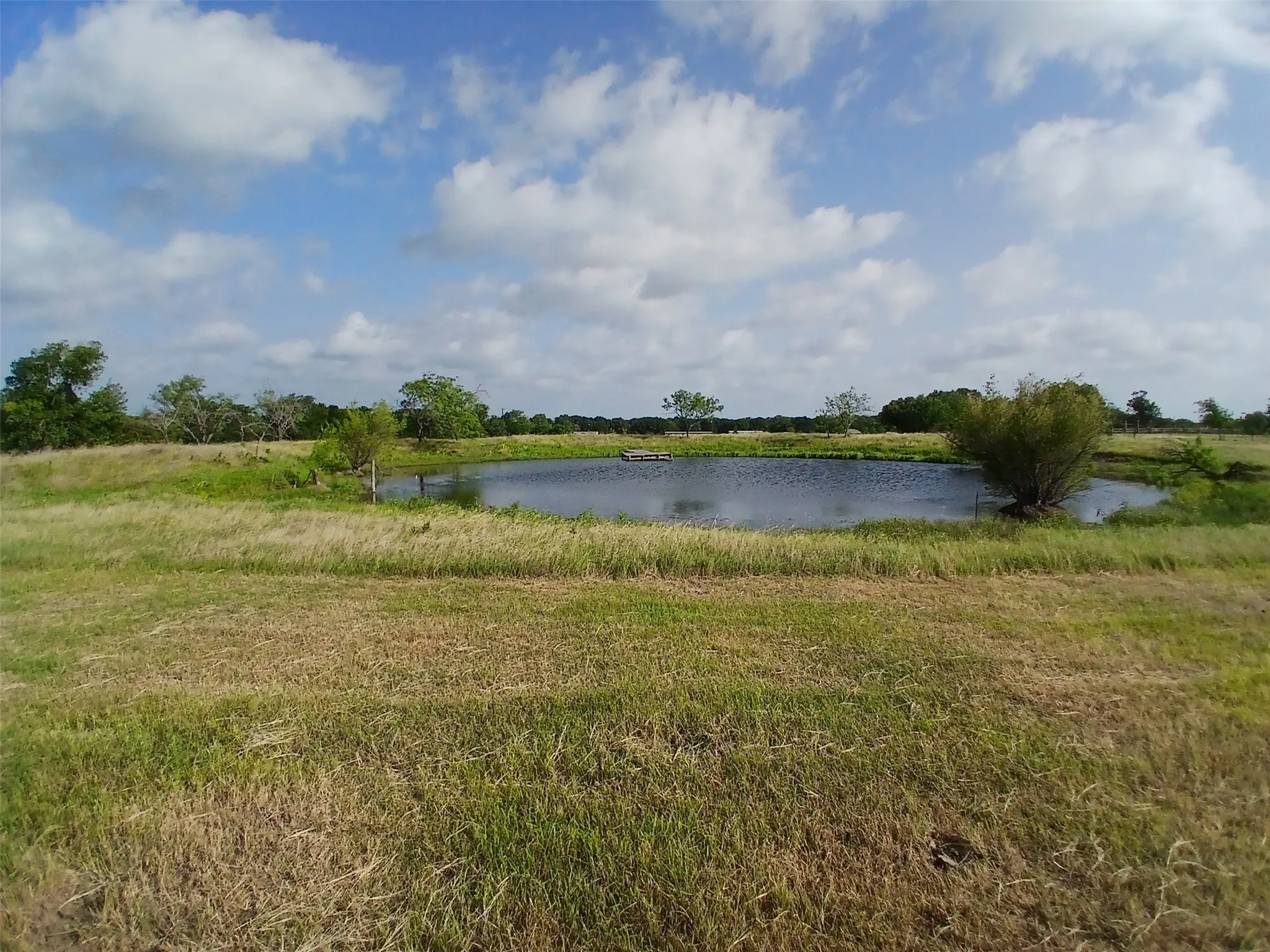 Unimproved Land For Sale in Hill County , 471 HCR 3335 Road, Hubbard, Texas 76648, 0, 0, Garage spaces, 0 Sqft, built in 0, Price $372,000, mls#21314466, Real Estate Agent in Hubbard, Homes For Sale in Hill county, Homes For Sale in Hubbard, Realtor in Hubbard Texas, Real Estate Brokerage Independent Realty Texas, Luminita Cordes Realtor