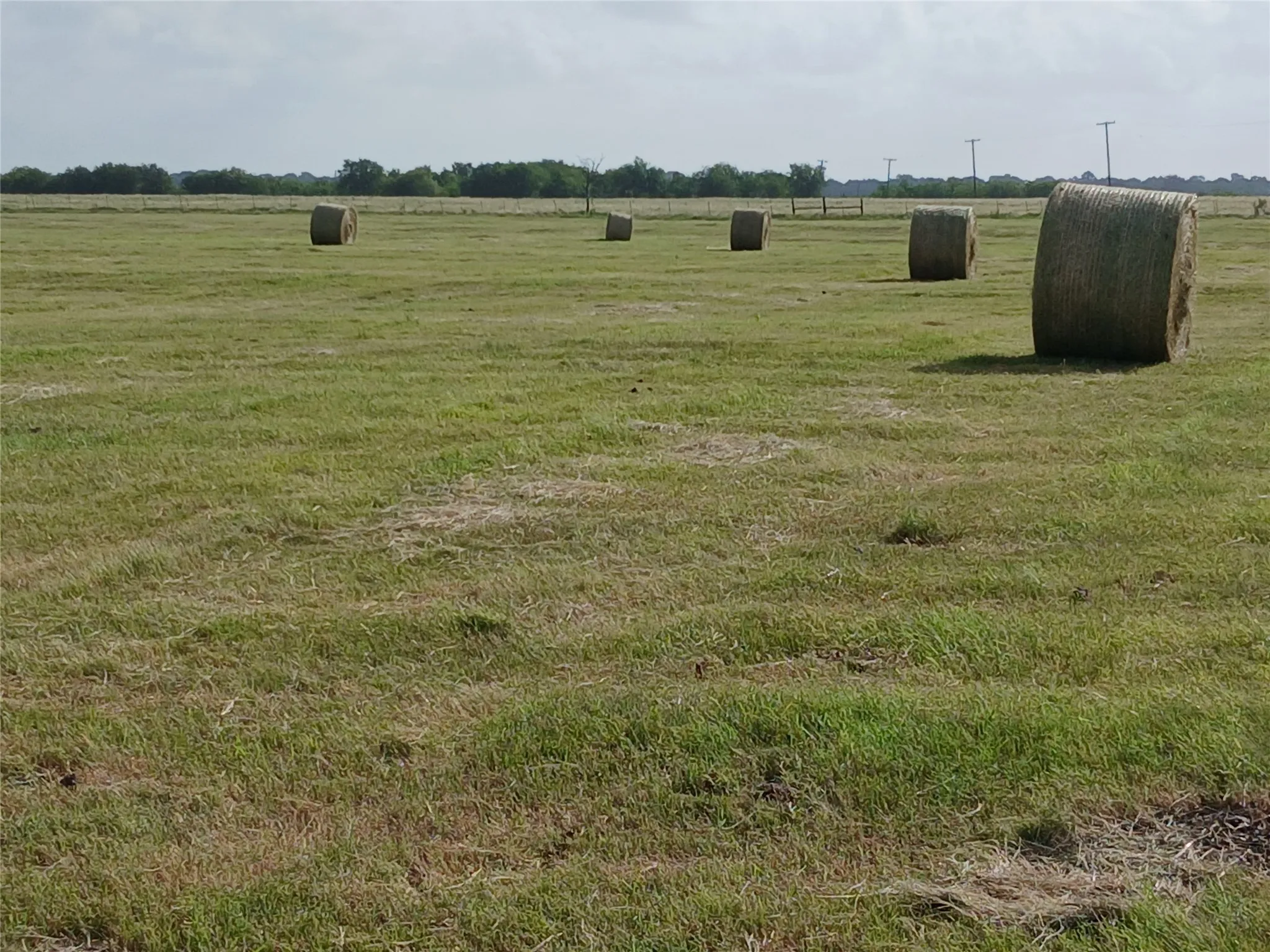 Unimproved Land For Sale in Hill County , 471 HCR 3335 Road, Hubbard, Texas 76648, 0, 0, Garage spaces, 0 Sqft, built in 0, Price $372,000, mls#21314466, Real Estate Agent in Hubbard, Homes For Sale in Hill county, Homes For Sale in Hubbard, Realtor in Hubbard Texas, Real Estate Brokerage Independent Realty Texas, Luminita Cordes Realtor