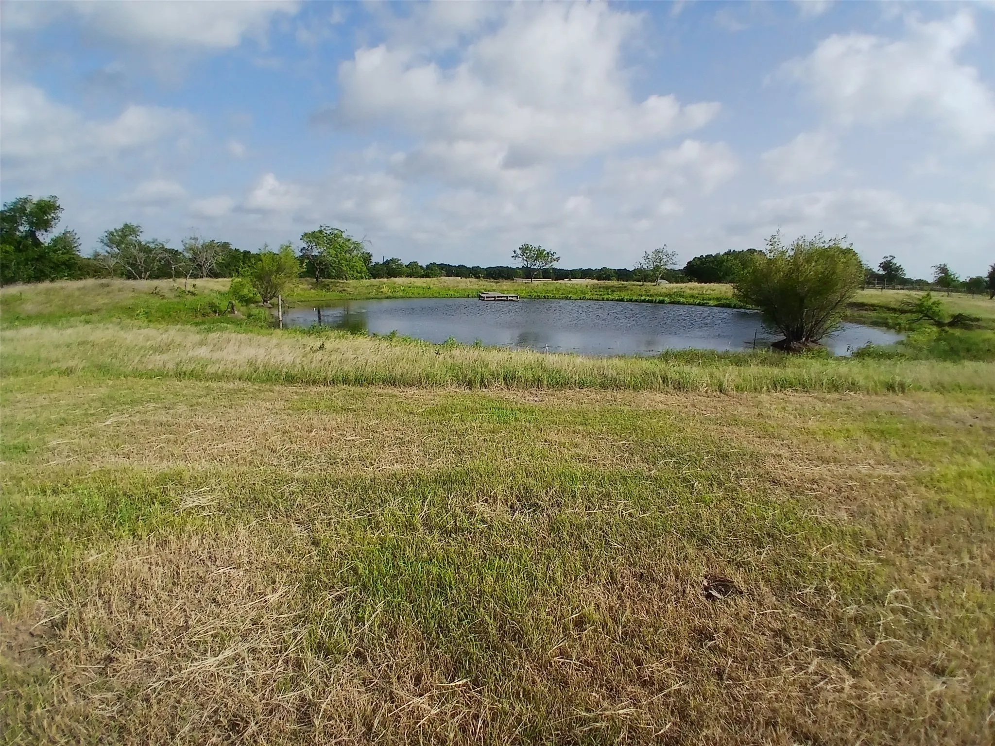 Unimproved Land For Sale in Hill County , 471 HCR 3335 Road, Hubbard, Texas 76648, 0, 0, Garage spaces, 0 Sqft, built in 0, Price $372,000, mls#21314466, Real Estate Agent in Hubbard, Homes For Sale in Hill county, Homes For Sale in Hubbard, Realtor in Hubbard Texas, Real Estate Brokerage Independent Realty Texas, Luminita Cordes Realtor
