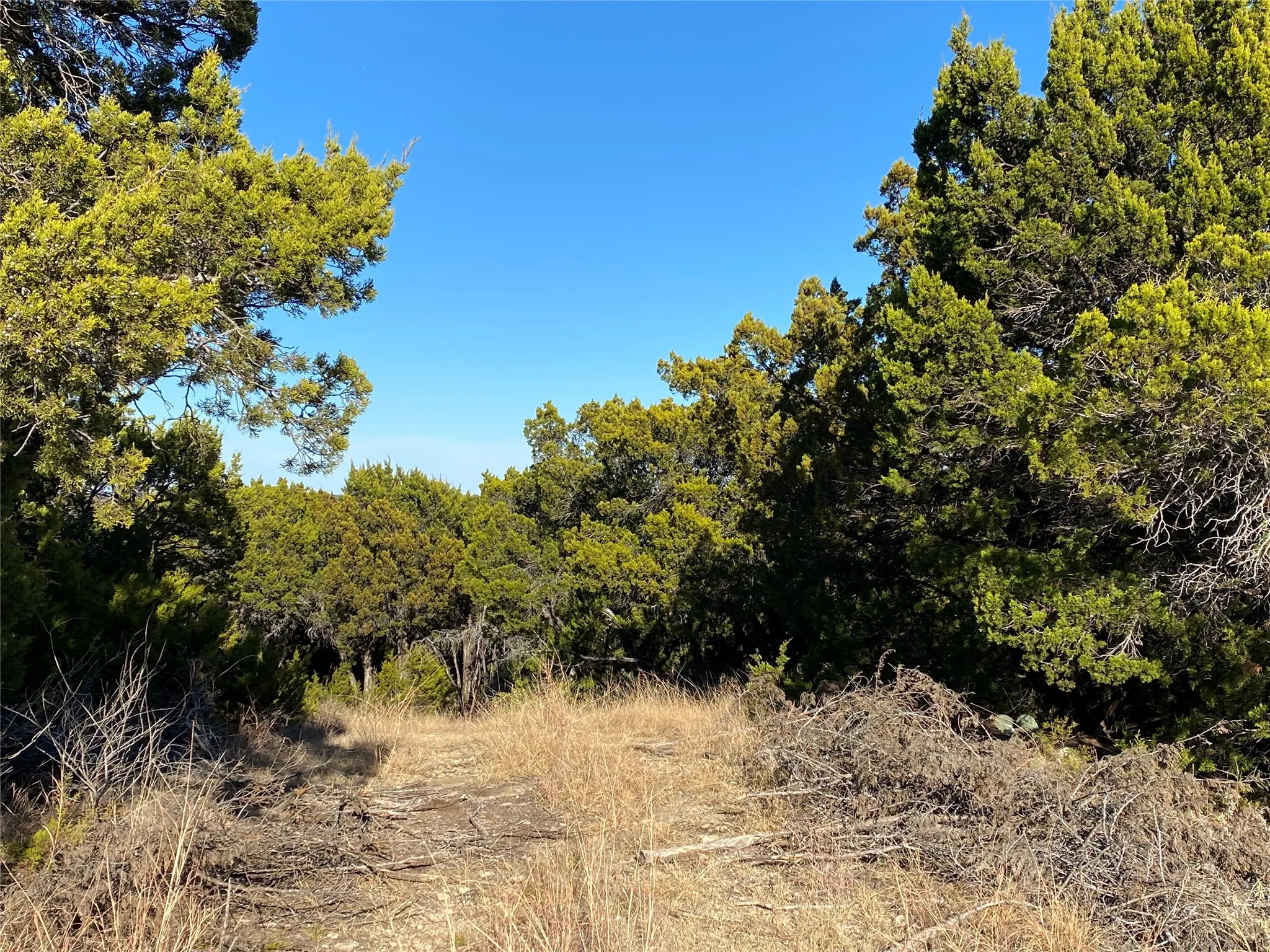 Unimproved Land For Sale in Palo Pinto County , 1270 Plateau Place, Graford, Texas 76449, 0, 0, Garage spaces, 0 Sqft, built in 0, mls#21314494, Real Estate Agent in Graford, Homes For Sale in Palo Pinto county, Homes For Sale in Graford, Realtor in Graford Texas, Real Estate Brokerage Independent Realty Texas, Luminita Cordes Realtor