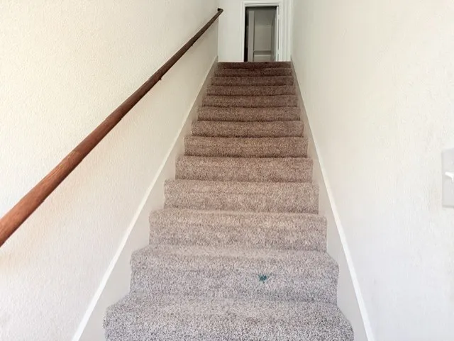 Carpeted staircase with a wood handrail