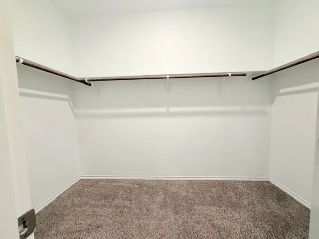 Expansive walk-in closet featuring light brown carpet flooring, white painted walls, and white baseboards