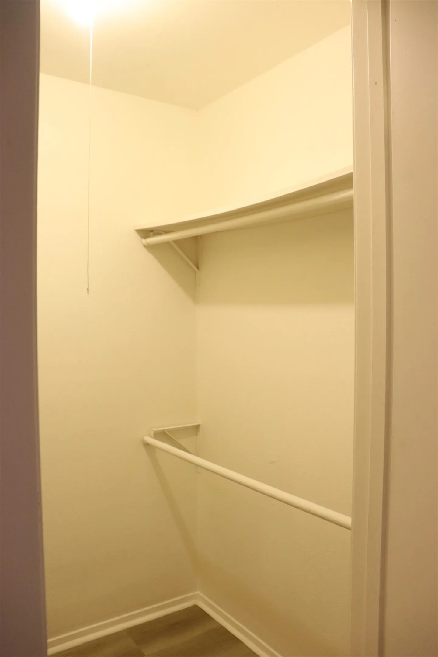 Walk-in closet with overhead shelf, clothing rod, and wood-finish flooring