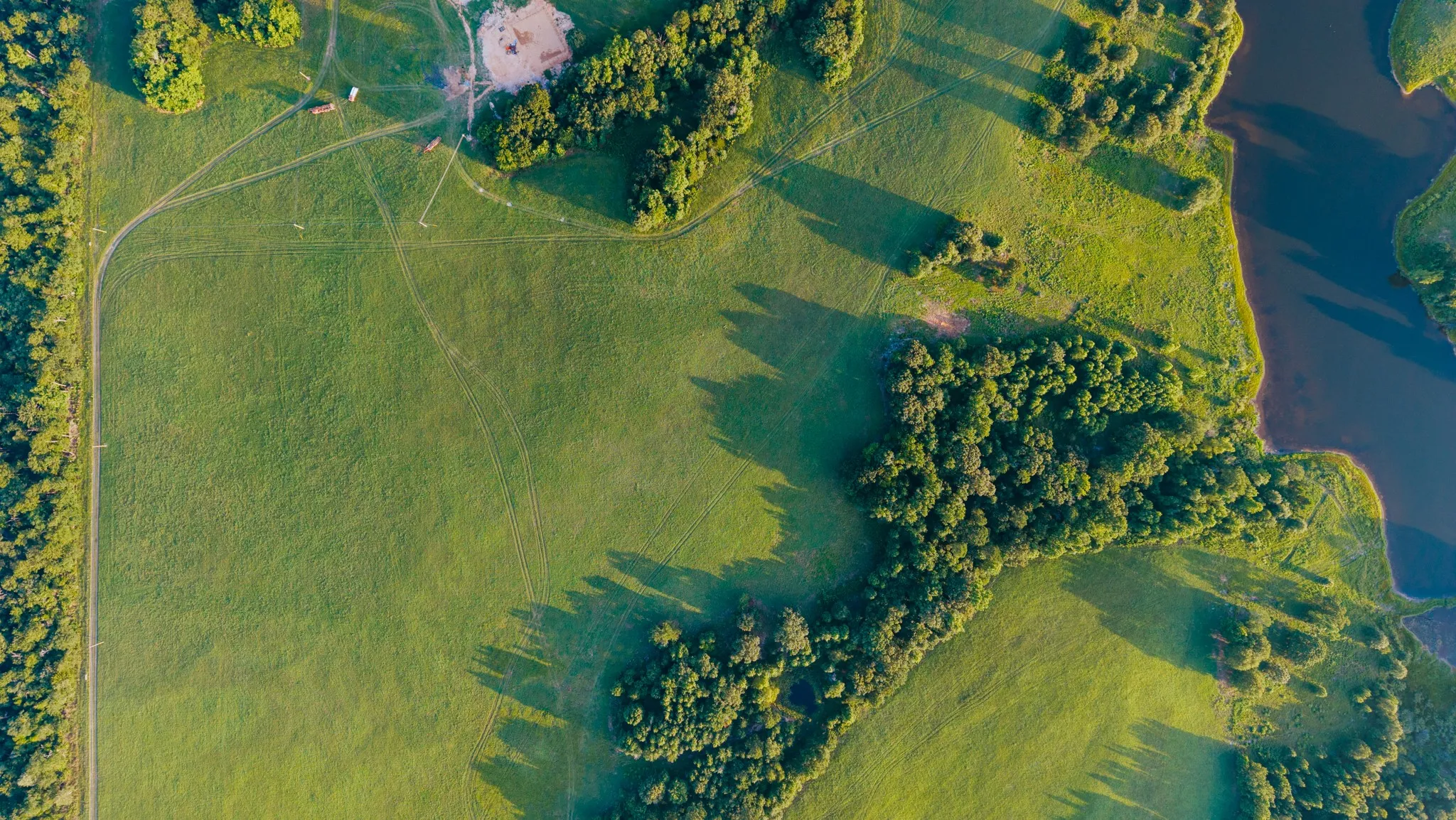 Expansive green landscape featuring varied terrain, a dense tree line, a body of water, and natural light