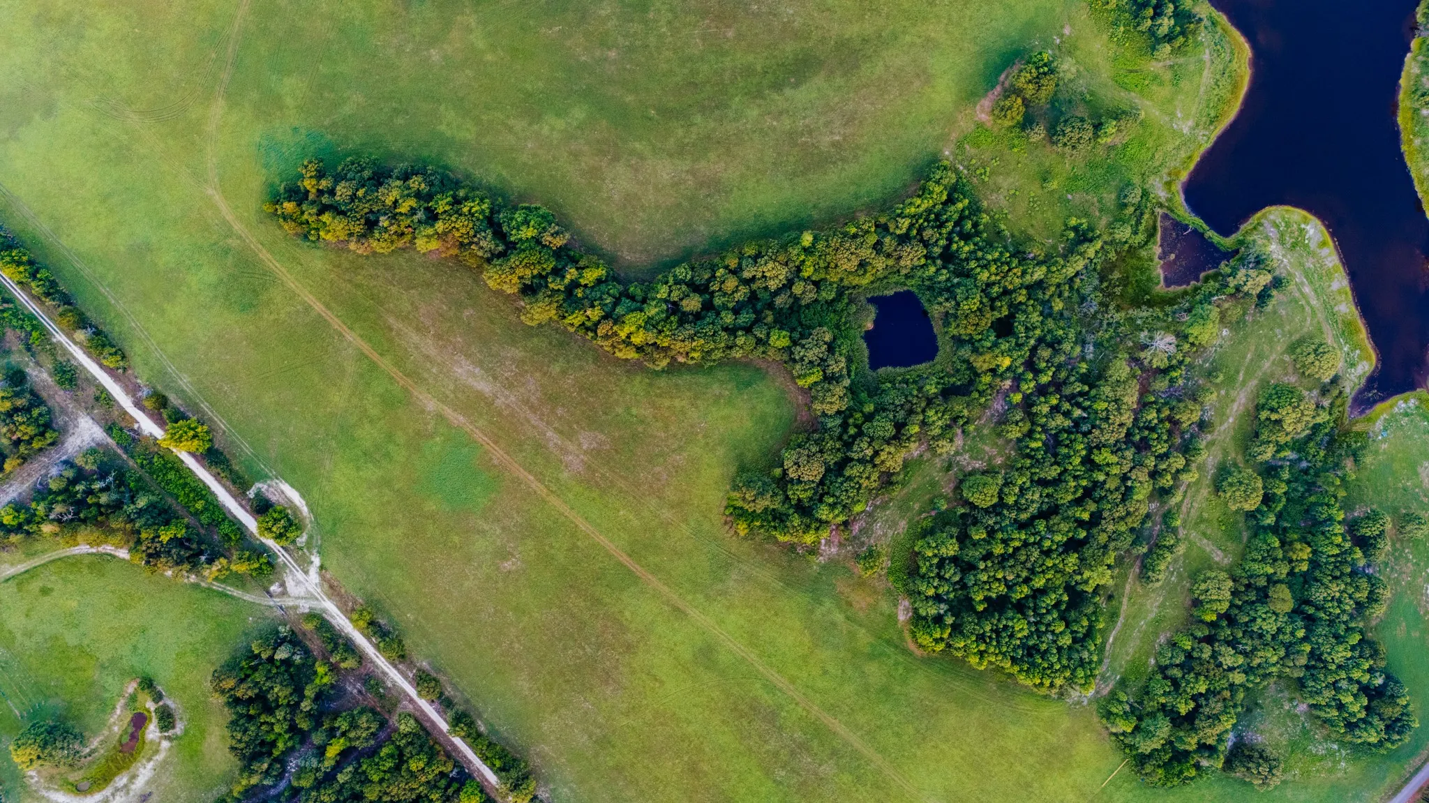 Expansive green acreage featuring natural water features, wooded areas, and a meandering unpaved path