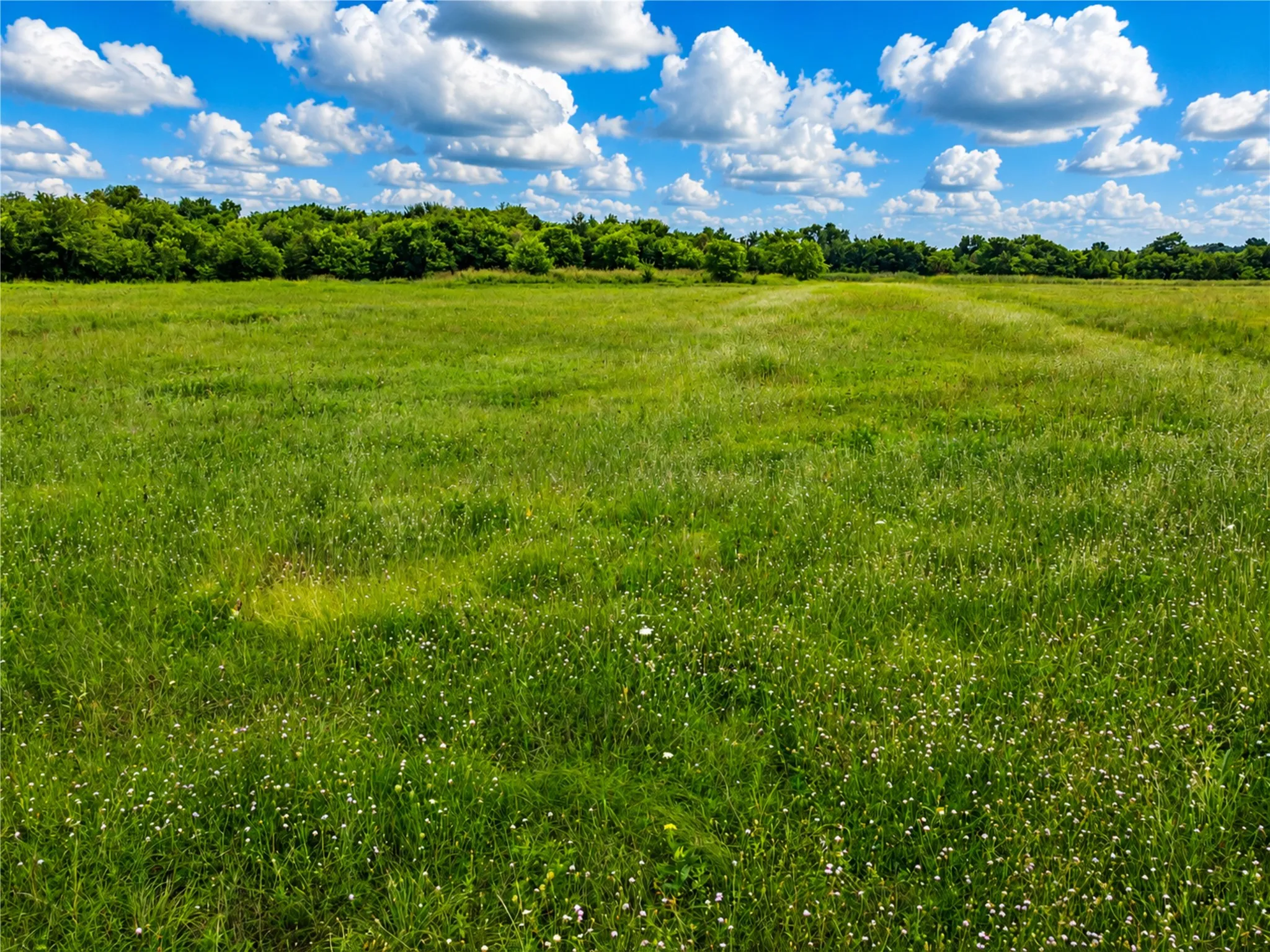 Warehouse For Rent in Hunt County , 2275 Highway 380, Greenville, Texas 75401, 0, 0, Garage spaces, 0 Sqft, built in 2012, mls#21314592, Real Estate Agent in Greenville, Homes For Rent in Hunt county, Homes For Rent in Greenville, Realtor in Greenville Texas, Real Estate Brokerage Independent Realty Texas, Luminita Cordes Realtor