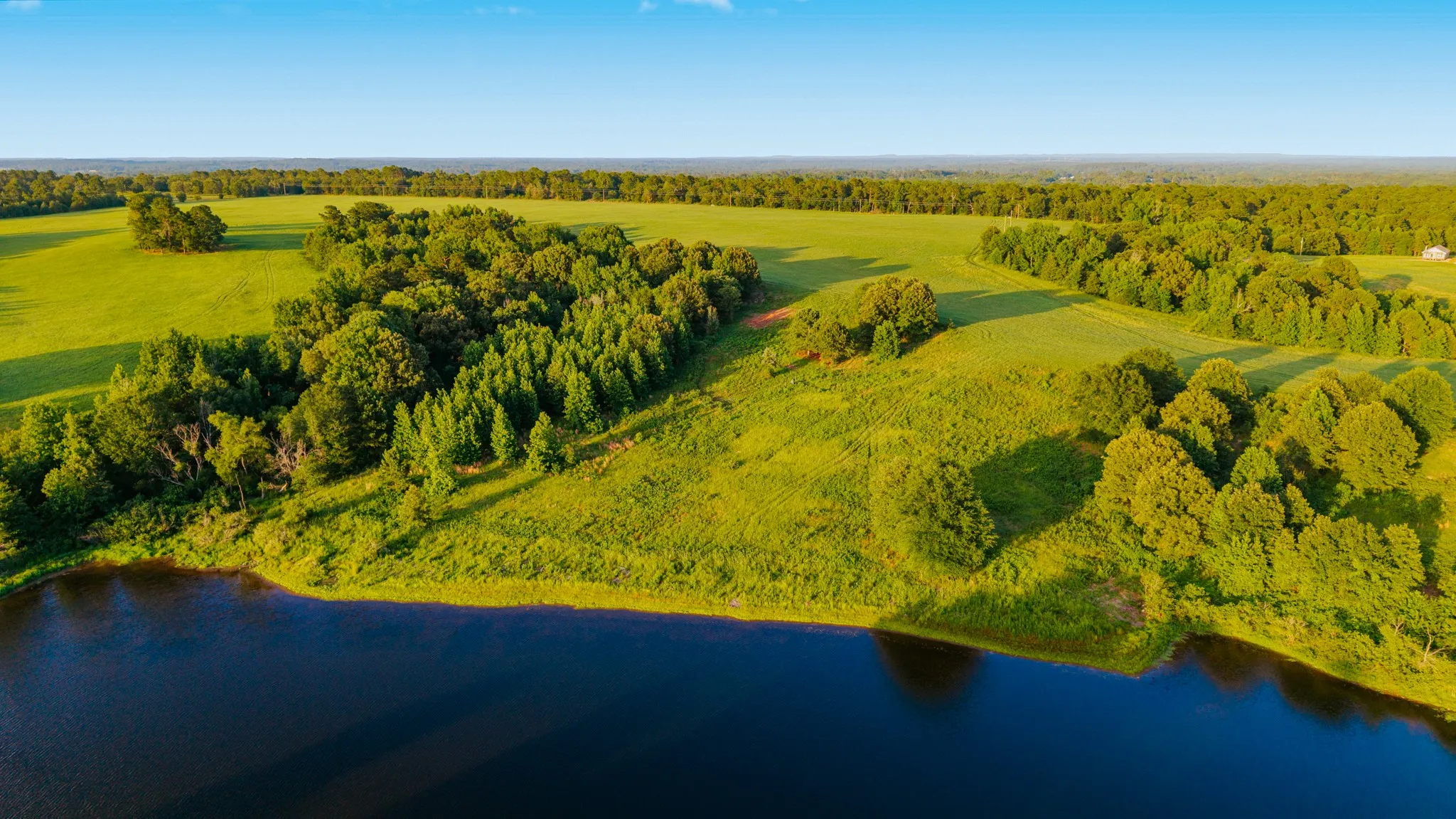 Expansive acreage featuring a substantial pond, abundant mature trees, and open grassy fields