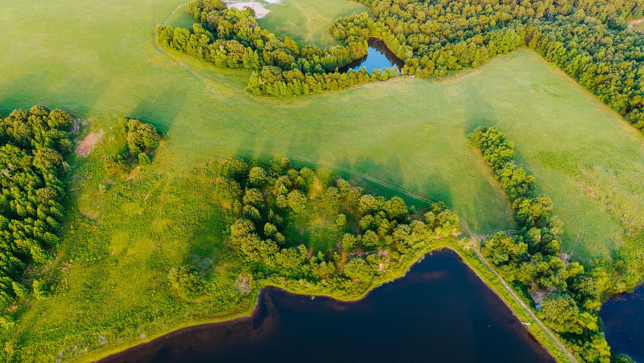 Expansive natural landscape featuring lush green fields and dense tree lines