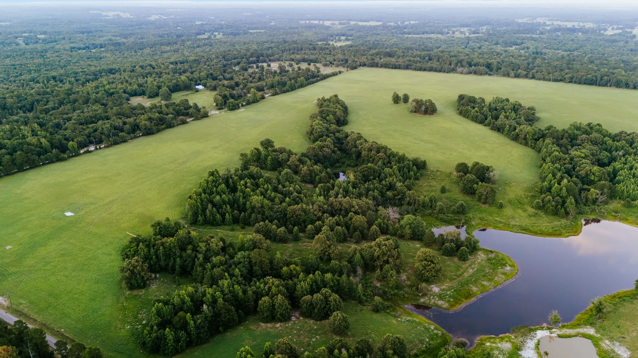 Expansive acreage featuring a large pond, mature woodlands, and open green fields