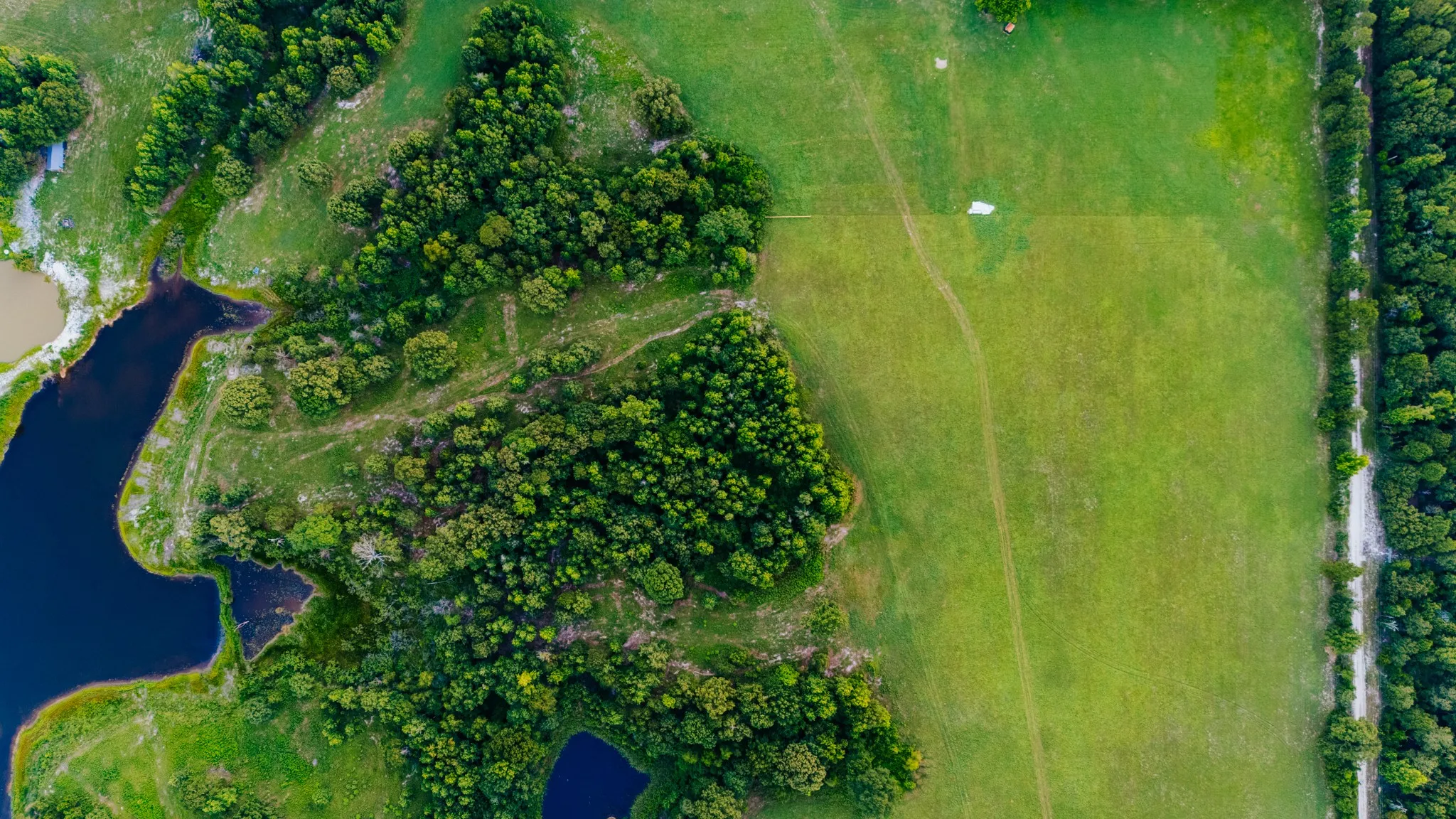 Expansive green pasture bordered by dense forest and a winding waterway