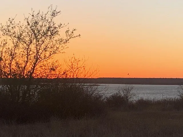 Unimproved Land For Sale in Wise County , 000 Twin Hills Road, Lake Bridgeport, Texas 76426, 0, 0, Garage spaces, 0 Sqft, built in 0, mls#21314496, Real Estate Agent in Lake Bridgeport, Homes For Sale in Wise county, Homes For Sale in Lake Bridgeport, Realtor in Lake Bridgeport Texas, Real Estate Brokerage Independent Realty Texas, Luminita Cordes Realtor
