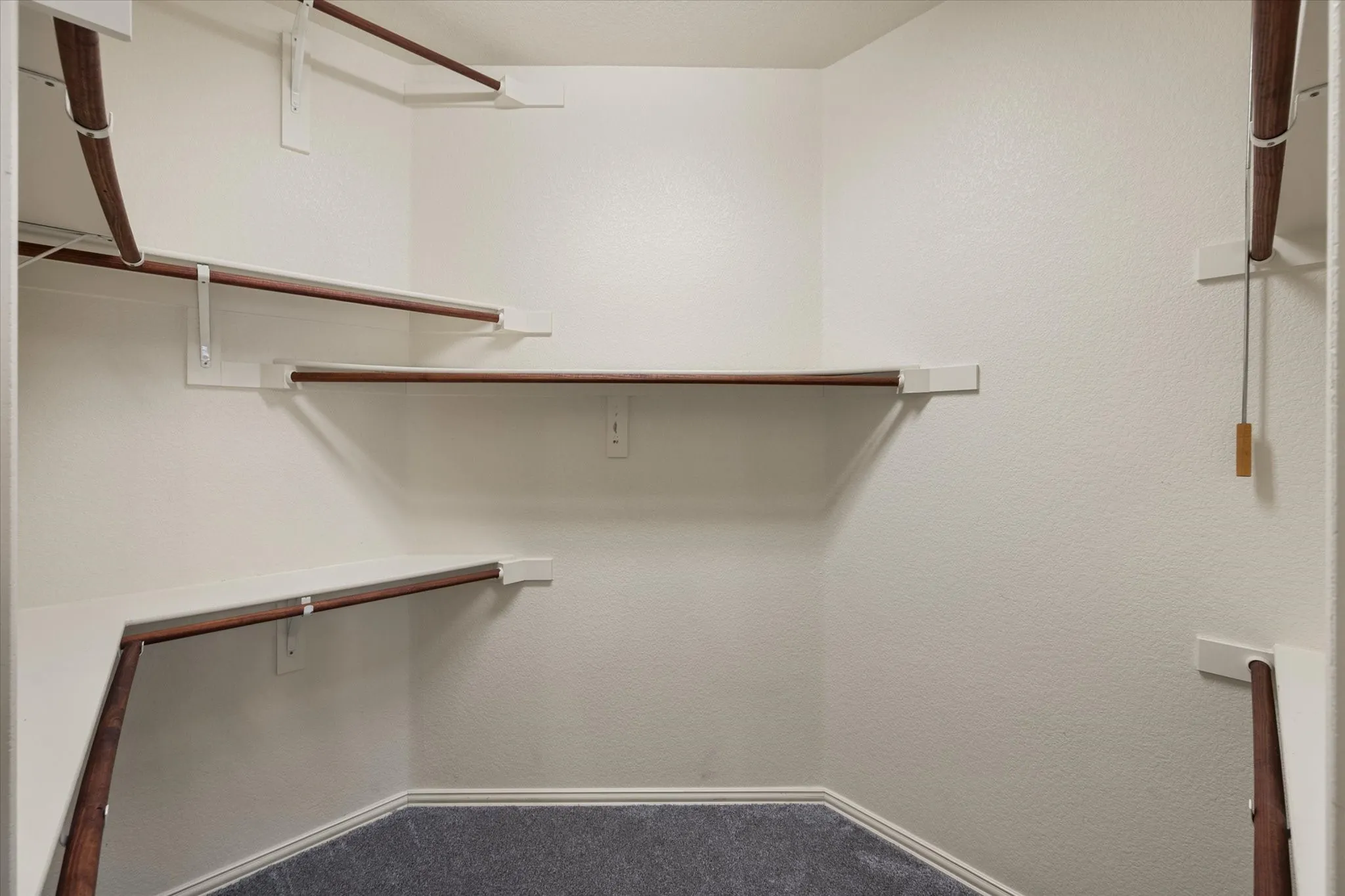 Primary Walk-in closet