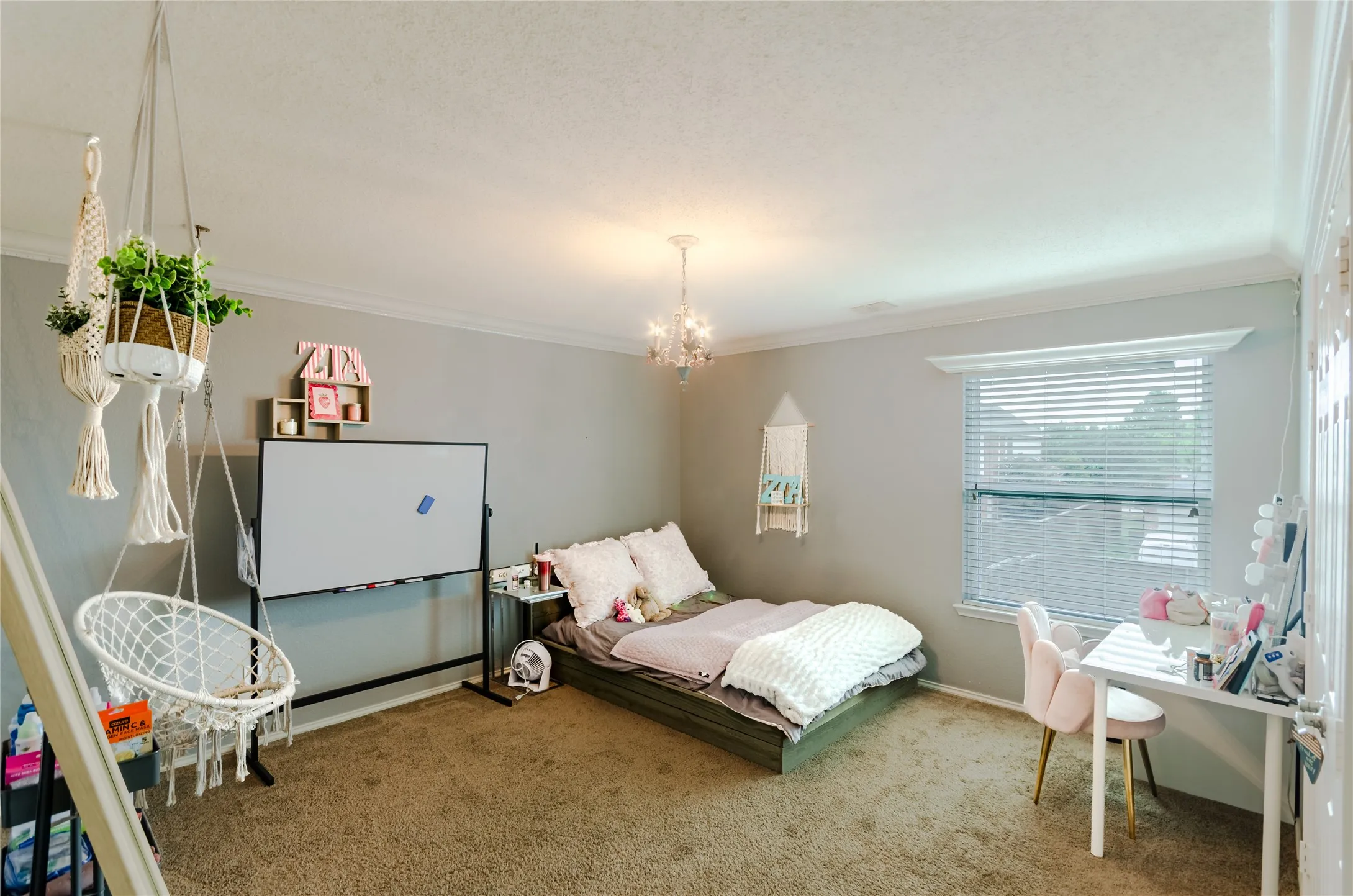 Spacious room with plush carpet flooring, a single window featuring horizontal blinds, and crown molding