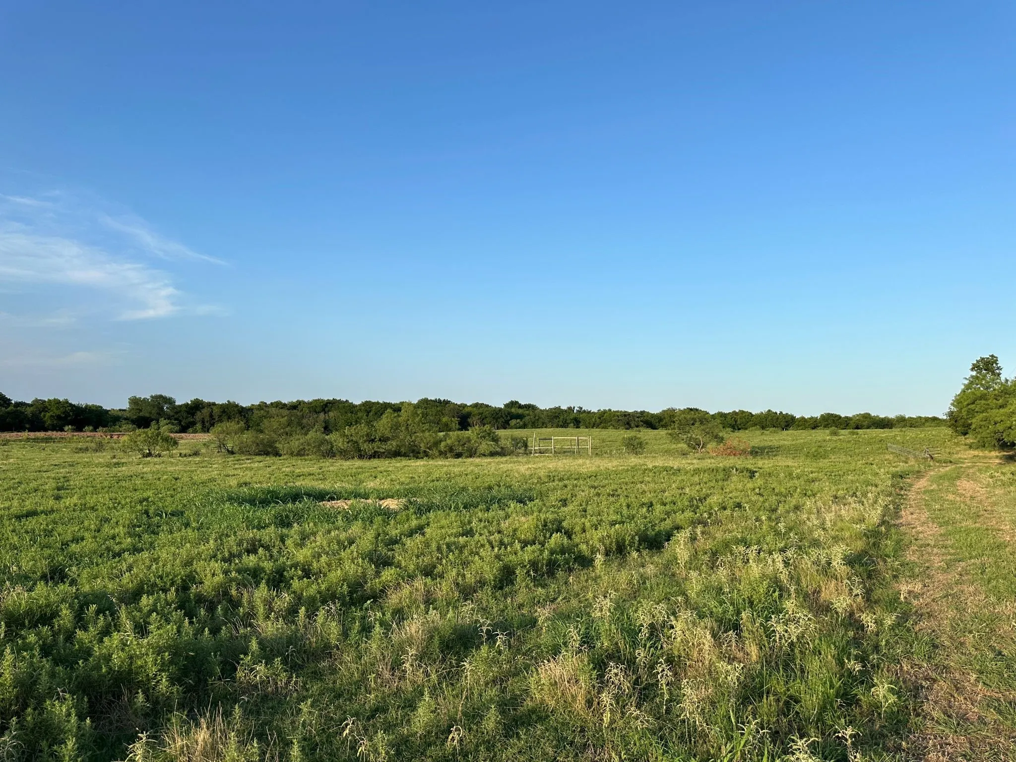 Improved Land For Sale in Montague County , TBD Rock Springs School Road, Nocona, Texas 76255, 0, 0, Garage spaces, 0 Sqft, built in 0, mls#21314669, Real Estate Agent in Nocona, Homes For Sale in Montague county, Homes For Sale in Nocona, Realtor in Nocona Texas, Real Estate Brokerage Independent Realty Texas, Luminita Cordes Realtor