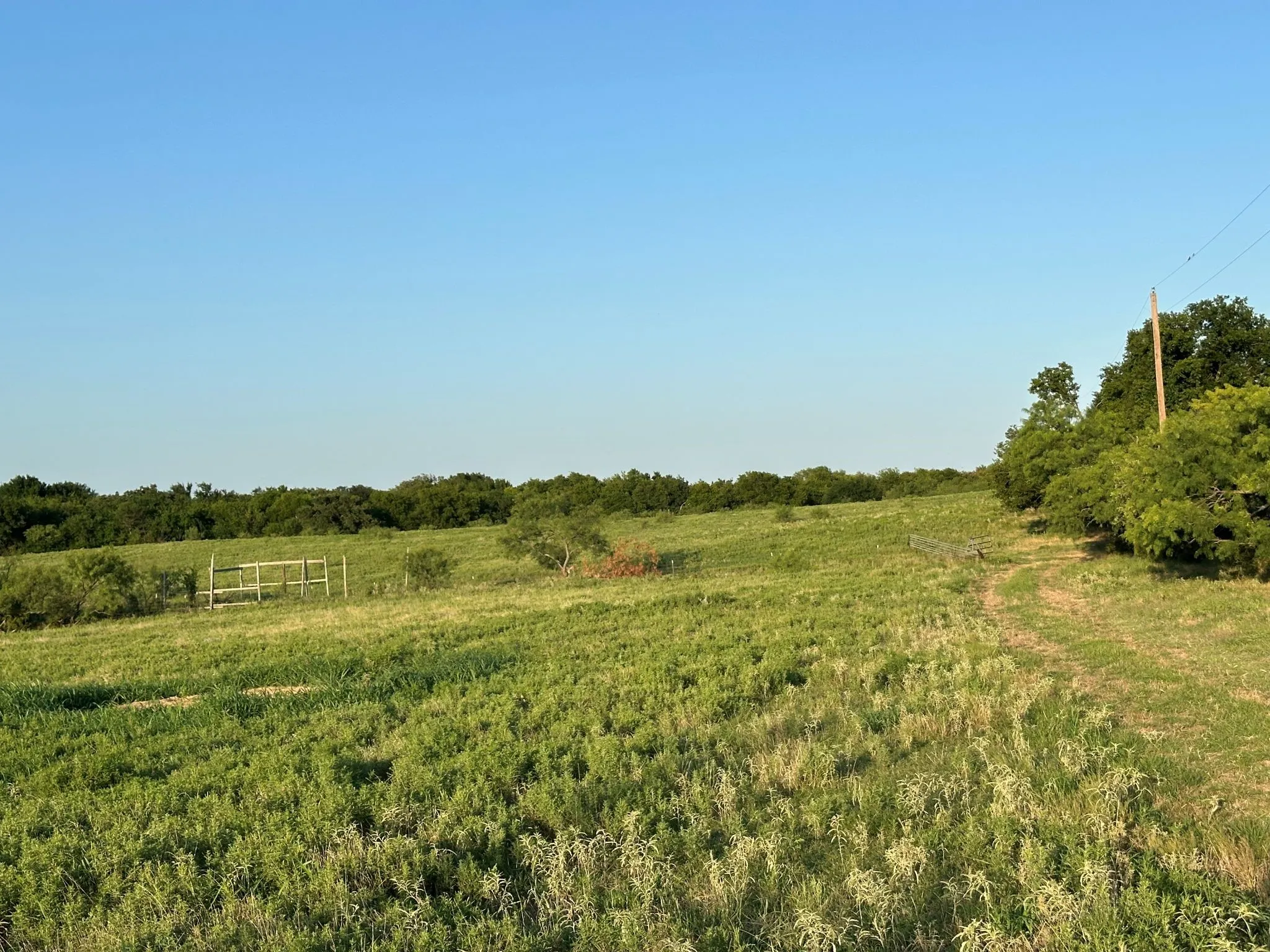 Improved Land For Sale in Montague County , TBD Rock Springs School Road, Nocona, Texas 76255, 0, 0, Garage spaces, 0 Sqft, built in 0, mls#21314669, Real Estate Agent in Nocona, Homes For Sale in Montague county, Homes For Sale in Nocona, Realtor in Nocona Texas, Real Estate Brokerage Independent Realty Texas, Luminita Cordes Realtor