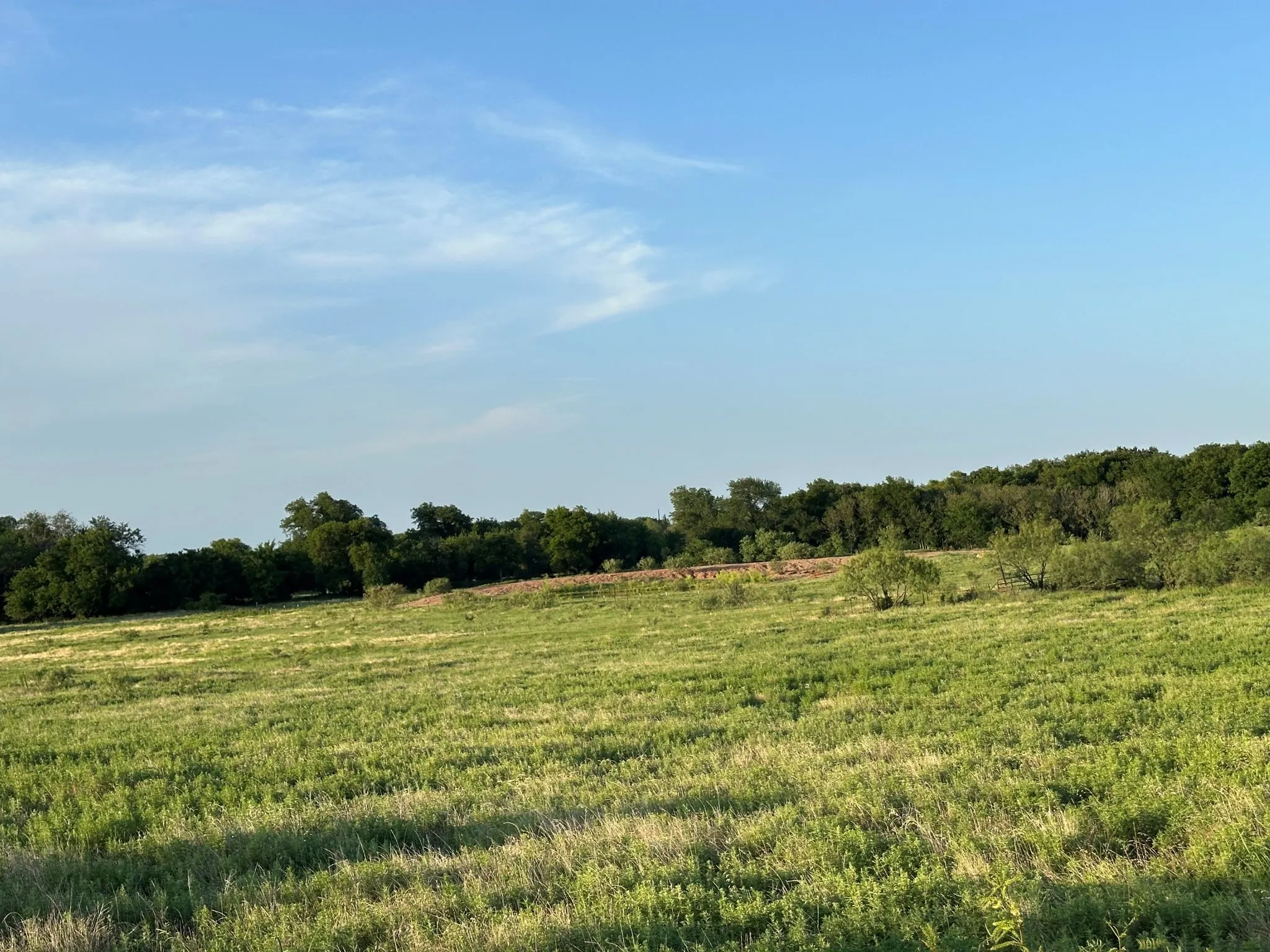 Improved Land For Sale in Montague County , TBD Rock Springs School Road, Nocona, Texas 76255, 0, 0, Garage spaces, 0 Sqft, built in 0, mls#21314669, Real Estate Agent in Nocona, Homes For Sale in Montague county, Homes For Sale in Nocona, Realtor in Nocona Texas, Real Estate Brokerage Independent Realty Texas, Luminita Cordes Realtor