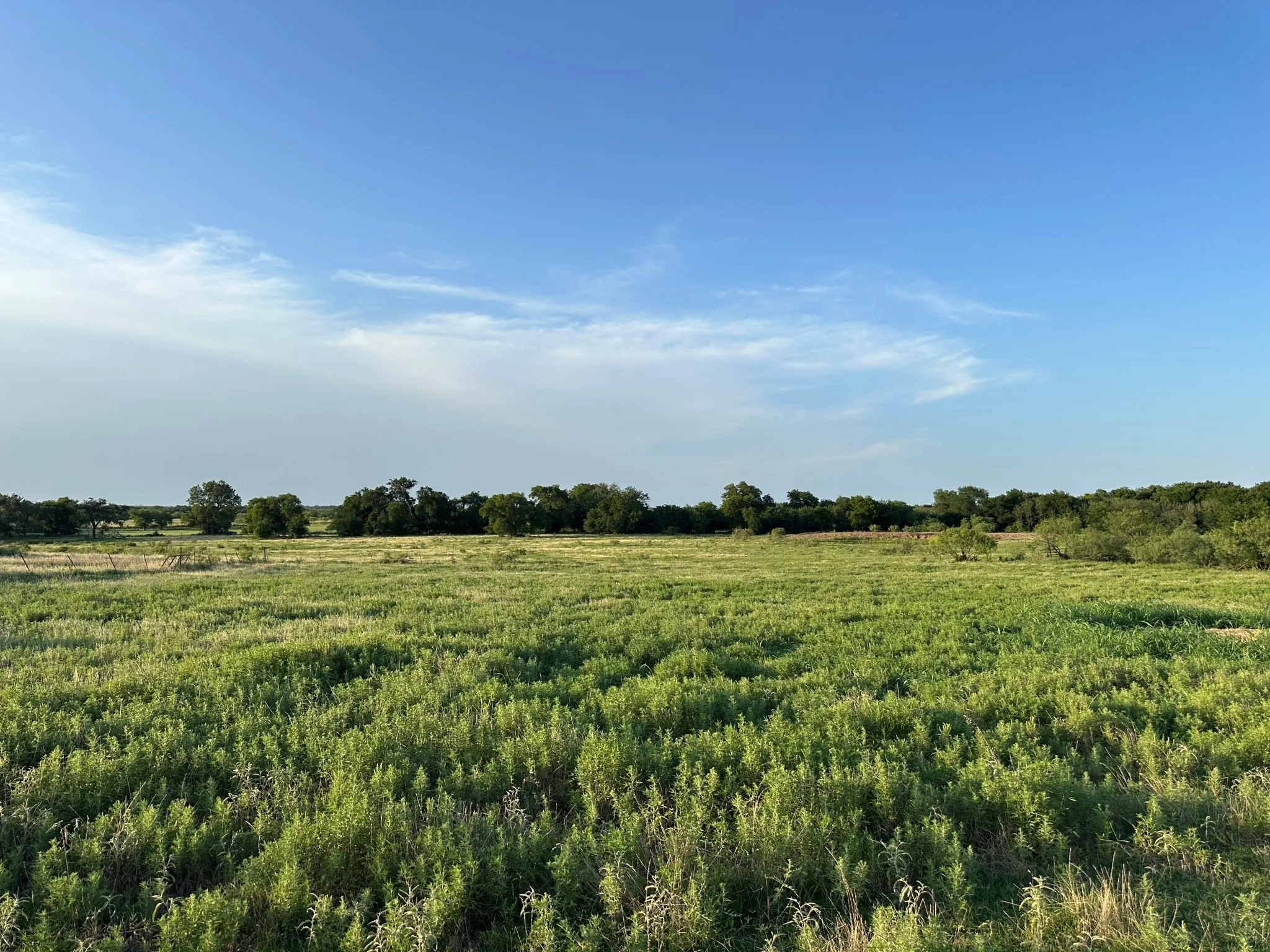 Improved Land For Sale in Montague County , TBD Rock Springs School Road, Nocona, Texas 76255, 0, 0, Garage spaces, 0 Sqft, built in 0, mls#21314669, Real Estate Agent in Nocona, Homes For Sale in Montague county, Homes For Sale in Nocona, Realtor in Nocona Texas, Real Estate Brokerage Independent Realty Texas, Luminita Cordes Realtor